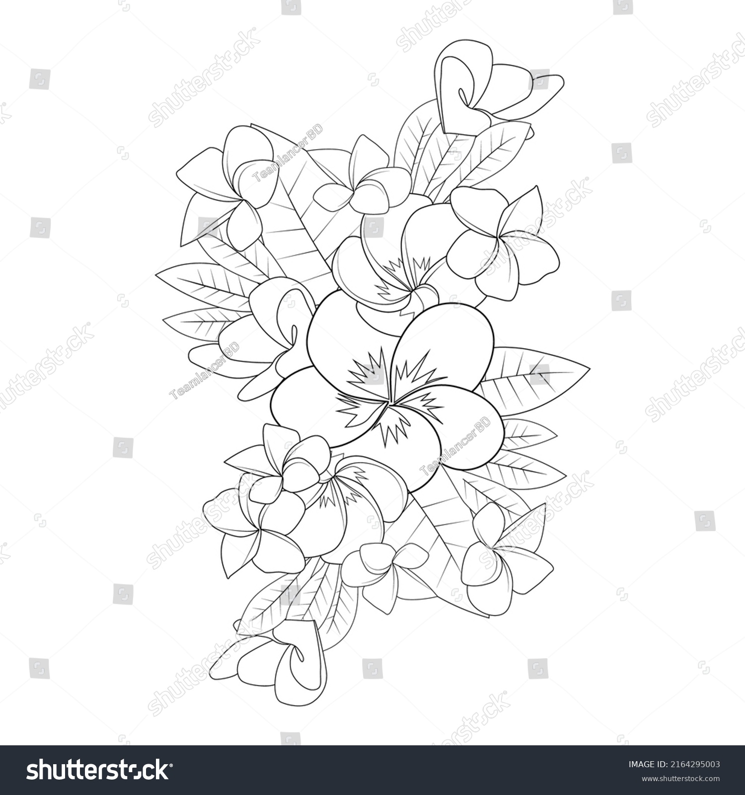 Plumeria Flower Line Art Sketch Outline Stock Vector (Royalty Free ...