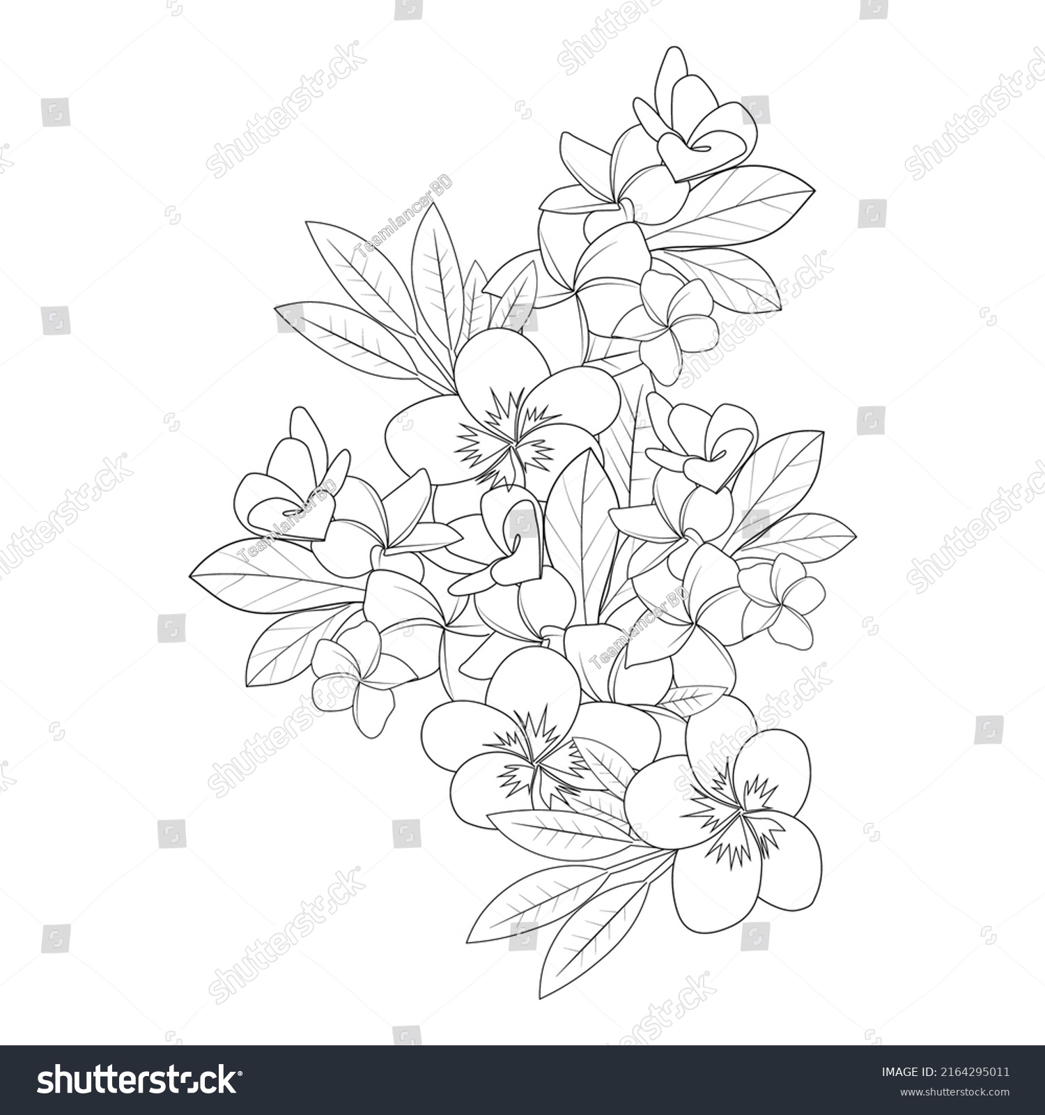 Plumeria Flower Line Art Sketch Outline Stock Vector (Royalty Free ...