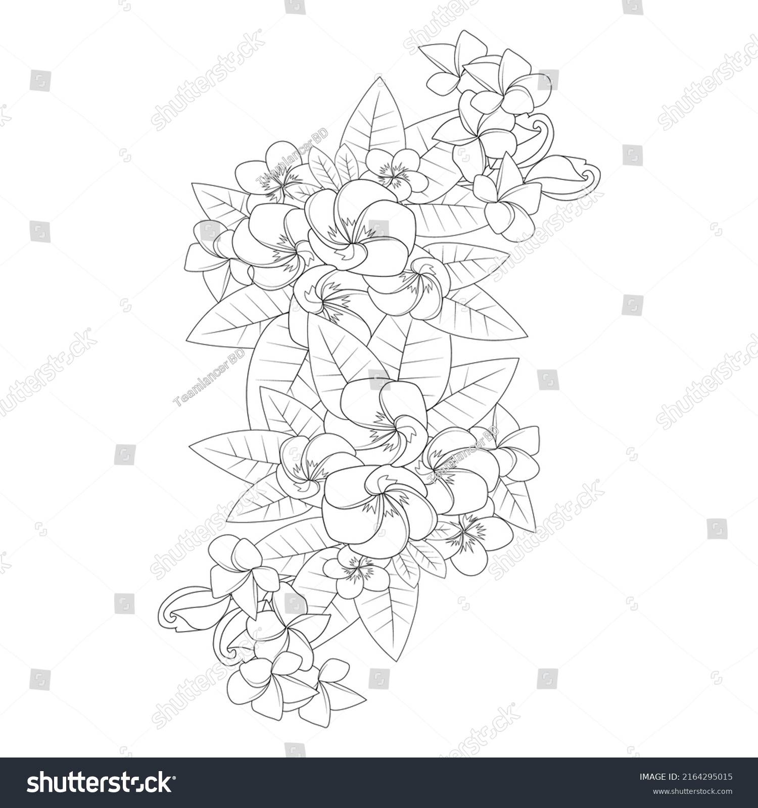 Plumeria Flower Line Art Sketch Outline Stock Vector (Royalty Free ...