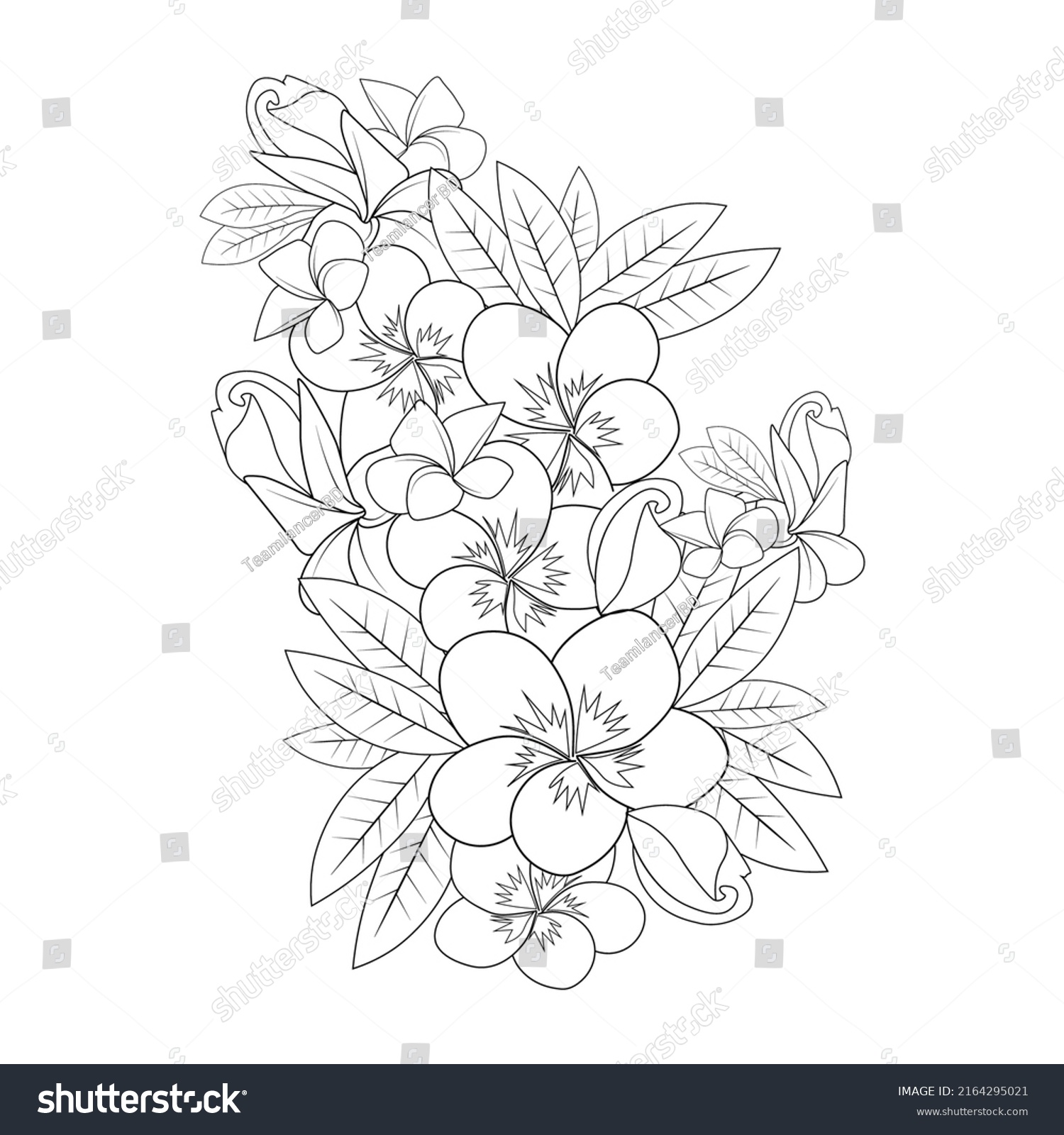 Plumeria Flower Line Art Sketch Outline Stock Vector (Royalty Free ...