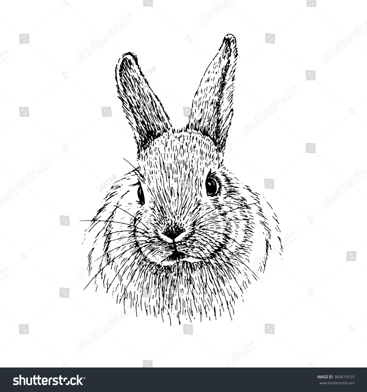 Rabbit Sketch Hand Drawn Vector Illustration Stock Vector (Royalty Free ...