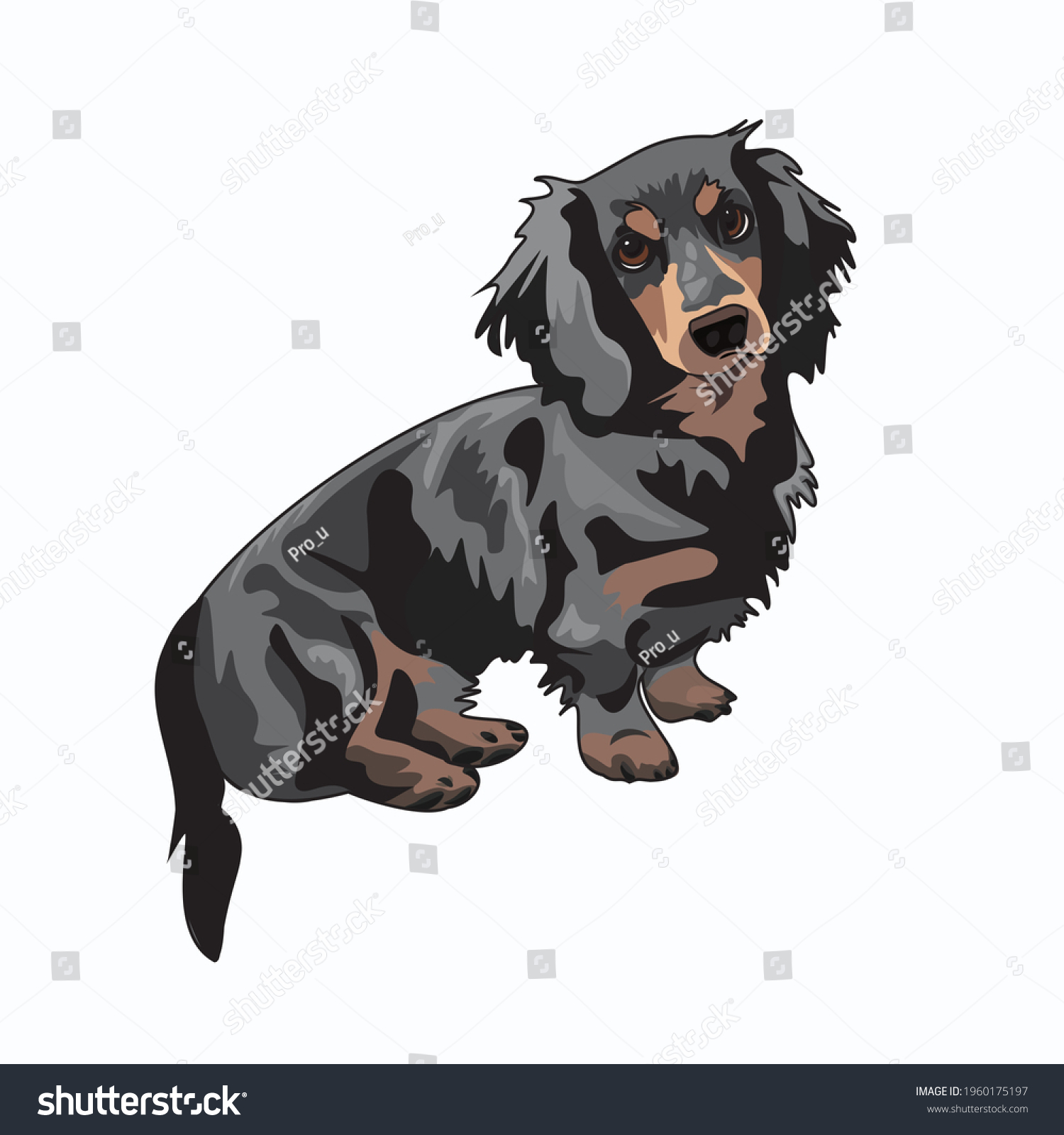 SVG of 
Realistic Marble Dachshund Drawn Vector Graphic svg
