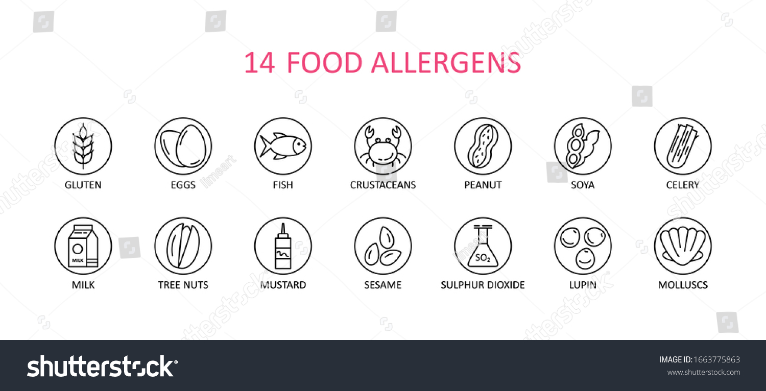 SVG of 14 round food allergens icon. Vector set of 14 icons. Collection includes gluten, fish, egg, crustacean, peanut, lupin, soya, milk, trees nuts, mustard, sesame, sulphur dioxide. svg
