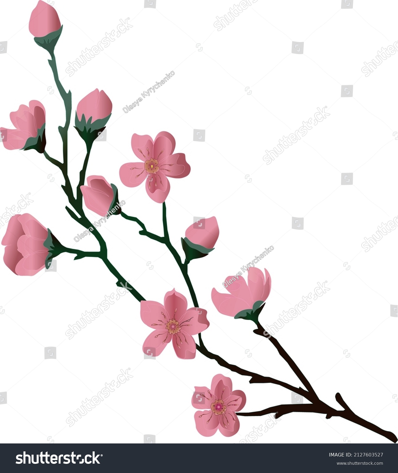 Sakura Branch Pink Flowers Vector Image Stock Vector (Royalty Free ...