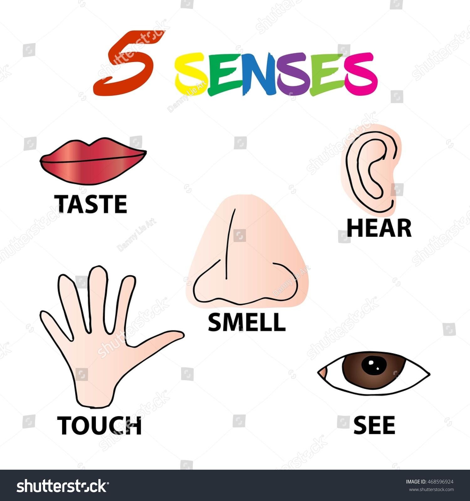 5 Senses Stock Vector 468596924 : Shutterstock