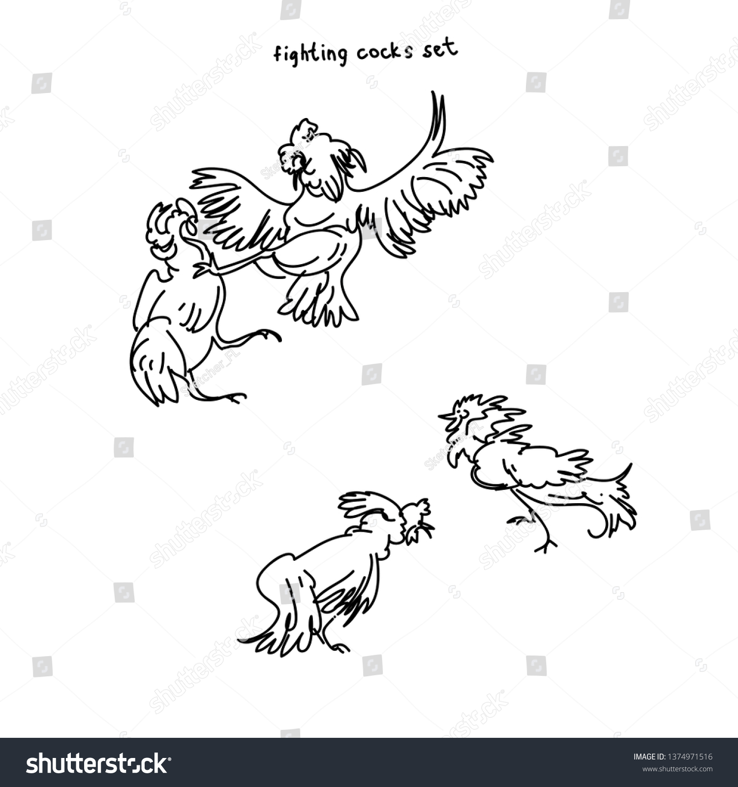 Set Breeds Chicken Hens Cocks Various Stock Vector Royalty Free
