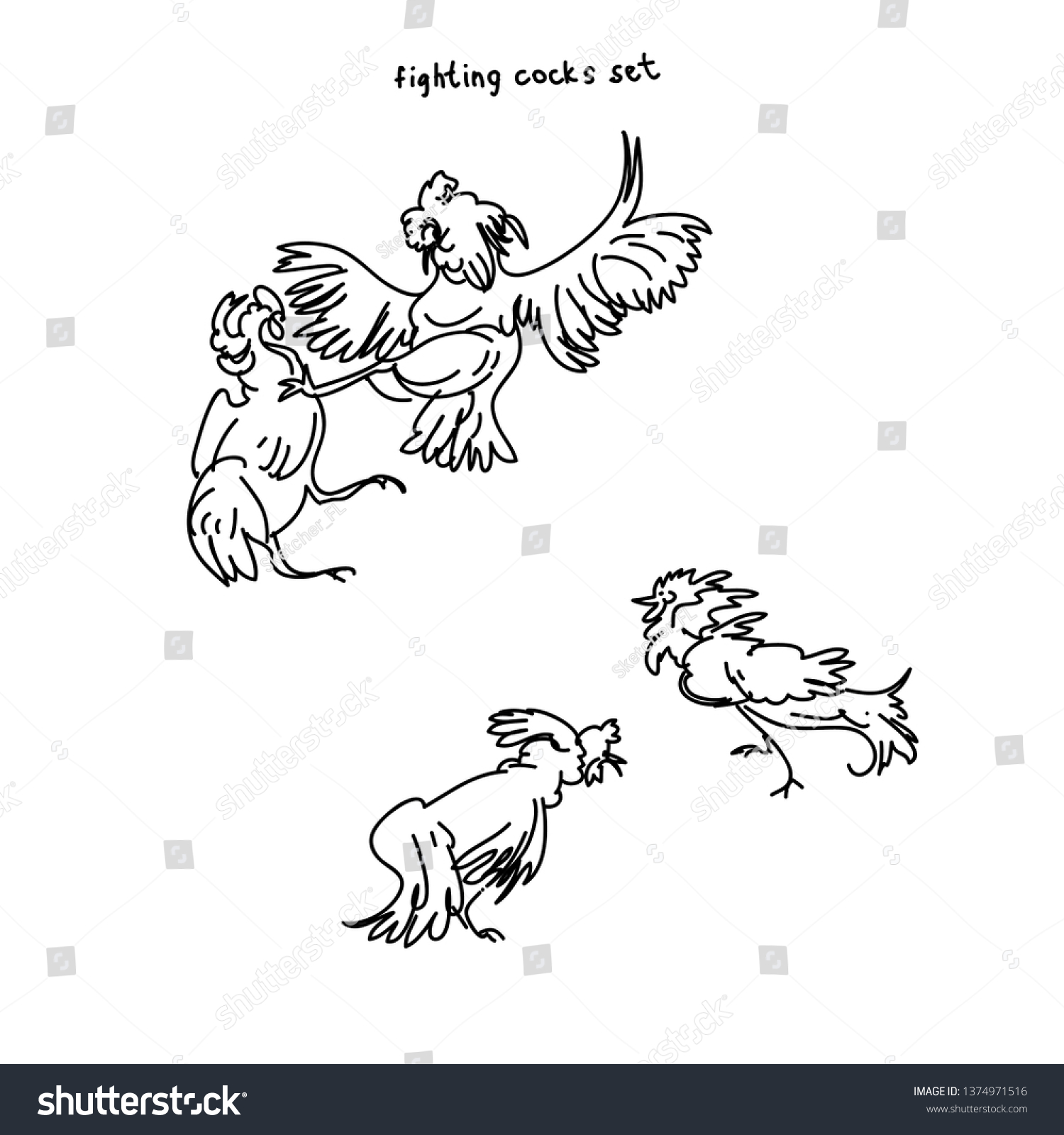 Set Breeds Chicken Hens Cocks Various Stock Vector Royalty Free 1374971516 Shutterstock