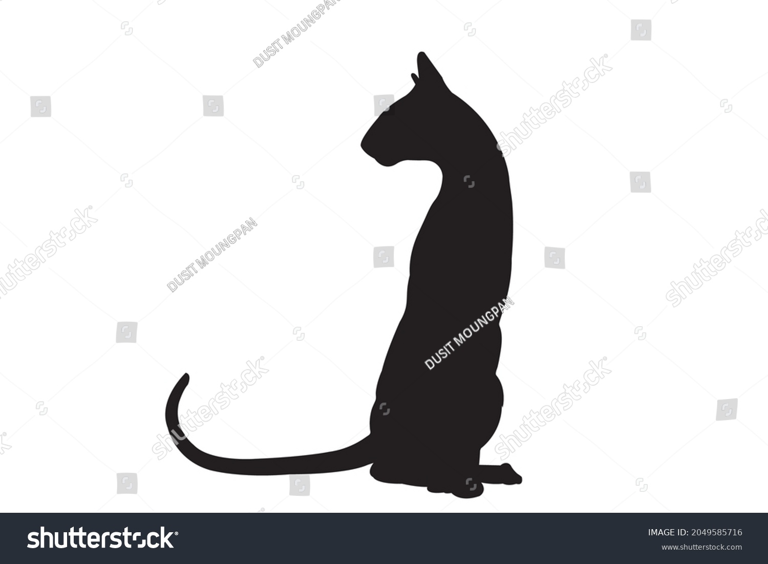 Siamese Cat Black Silhouette On White Stock Vector (Royalty Free ...