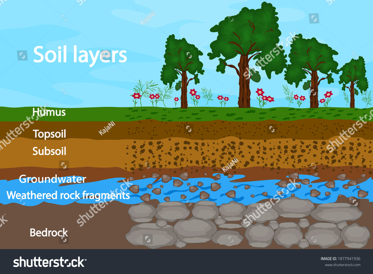 Soil Layers Diagram Layer Soil Soil Stock Vector Royalty Free 1877941936