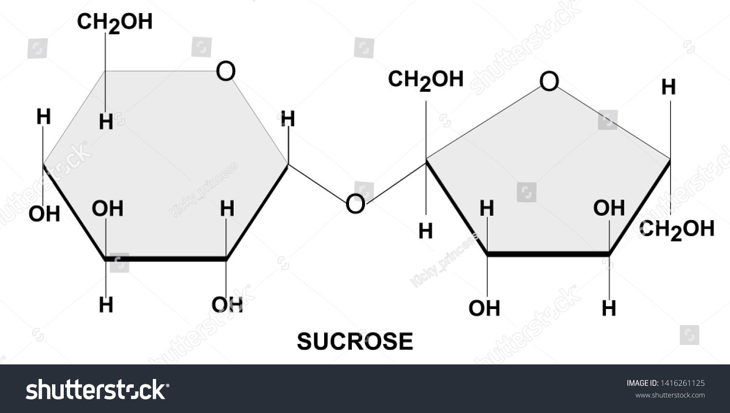 SVG of 
Structural chemical formula and model of sucrose svg