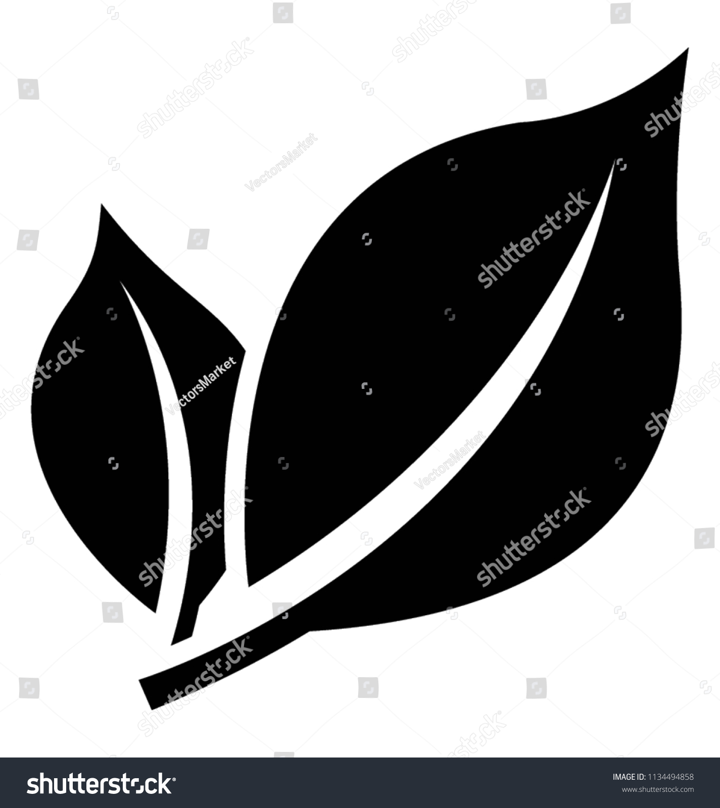 Two Common Leaves Placed Together Two Stock Vector (Royalty Free ...