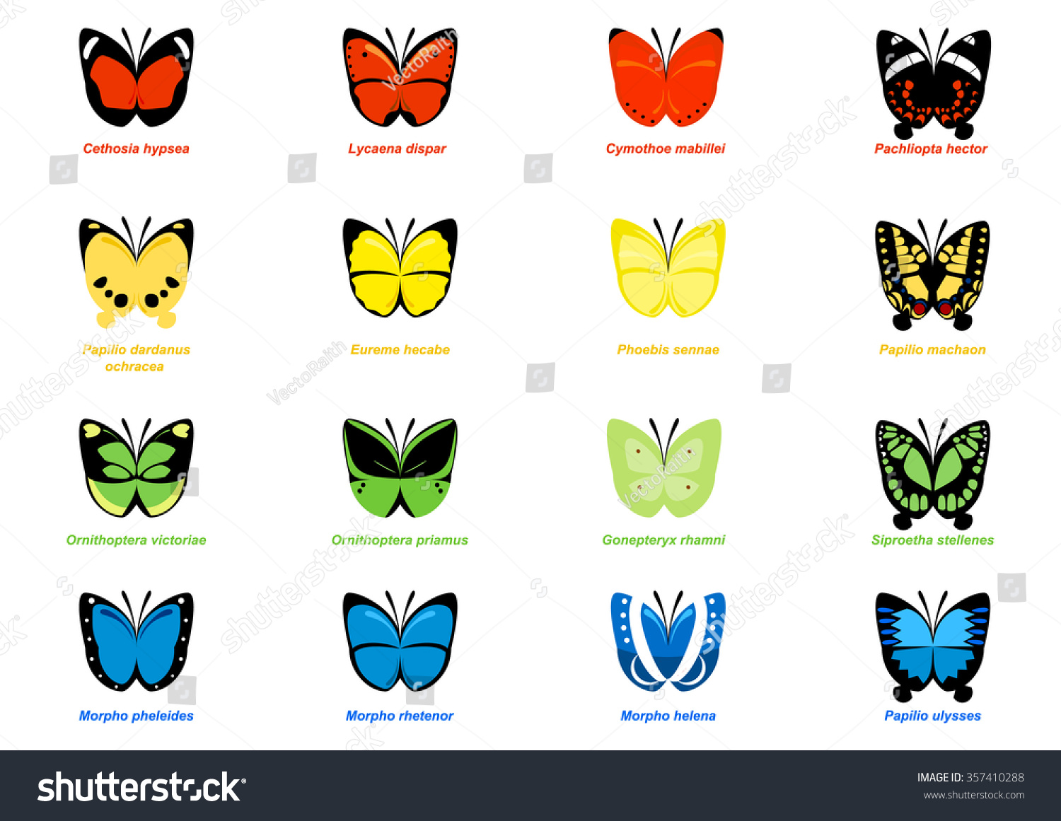 Suchen Sie Nach 16 Vectors Simple Butterflies Reallife Butterfly Stockbildern In Hd Und Millionen Weiteren Lizenzfreien Stockfotos Illustrationen Und Vektorgrafiken In Der Shutterstock Kollektion Jeden Tag Werden Tausende Neue Hochwertige Bilder