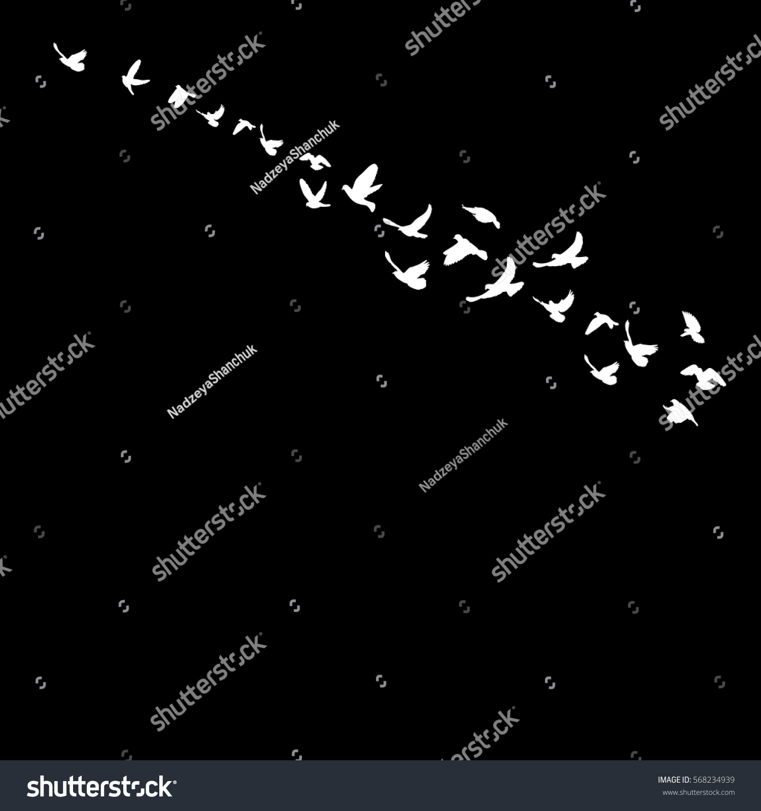 White Silhouette Flying Birds Stock Vector 568234939 - Shutterstock