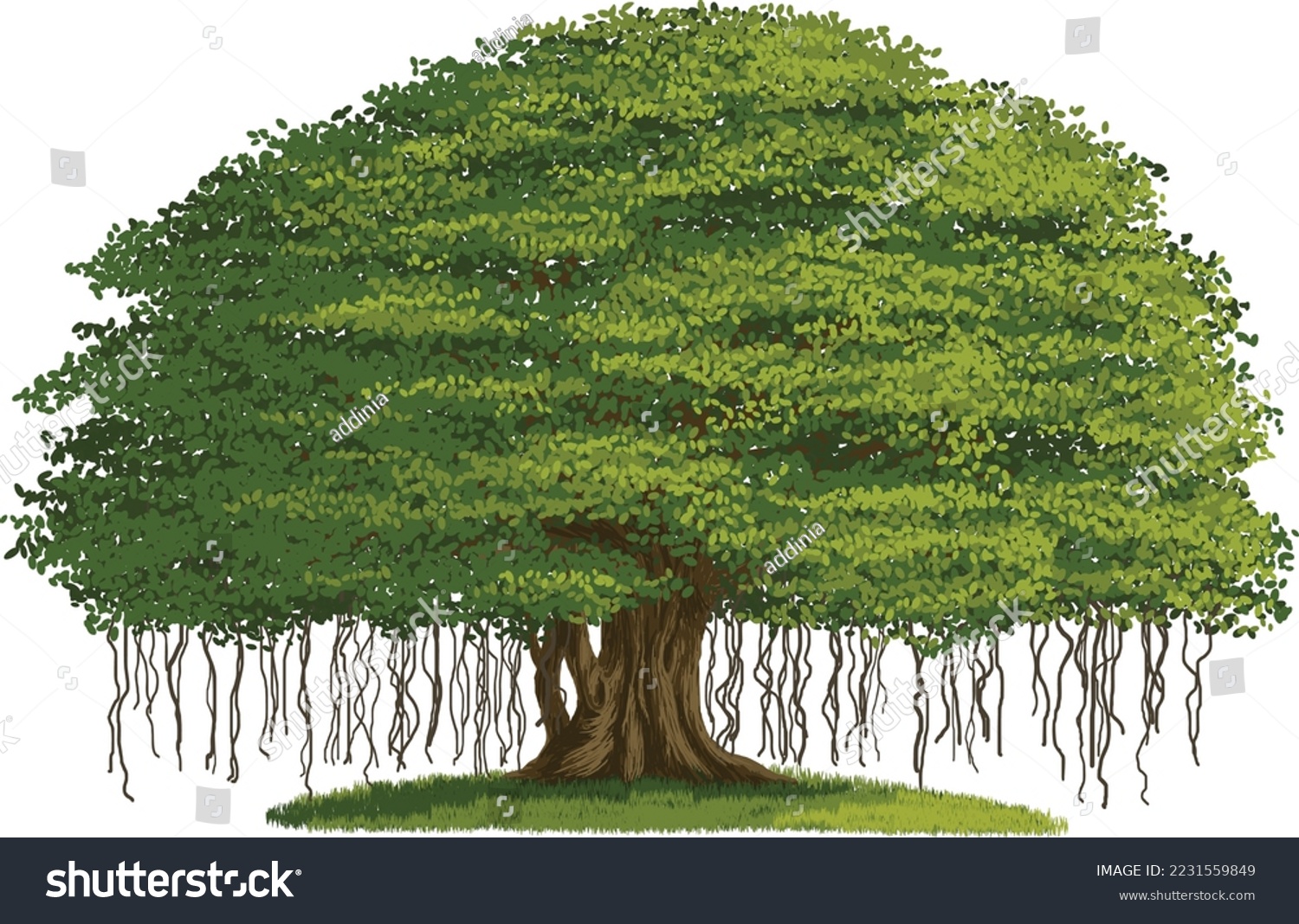 SVG of A Banyan tree, big and lush, vector illustration isolated on white background, EPS svg