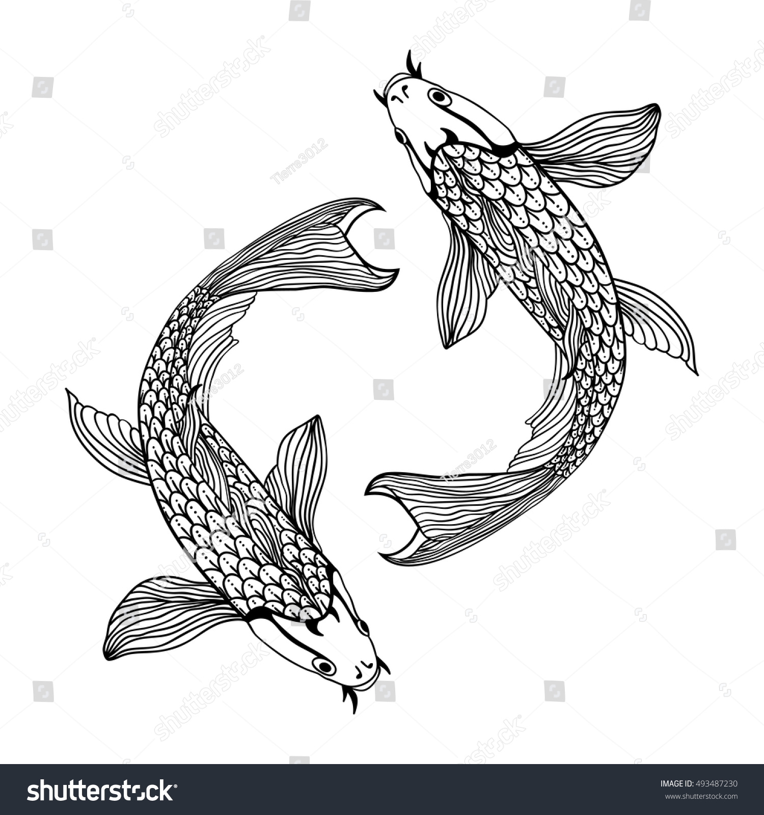 白黒の美しい鯉の魚イラスト 愛 友情 繁栄の象徴 のベクター画像素材 ロイヤリティフリー