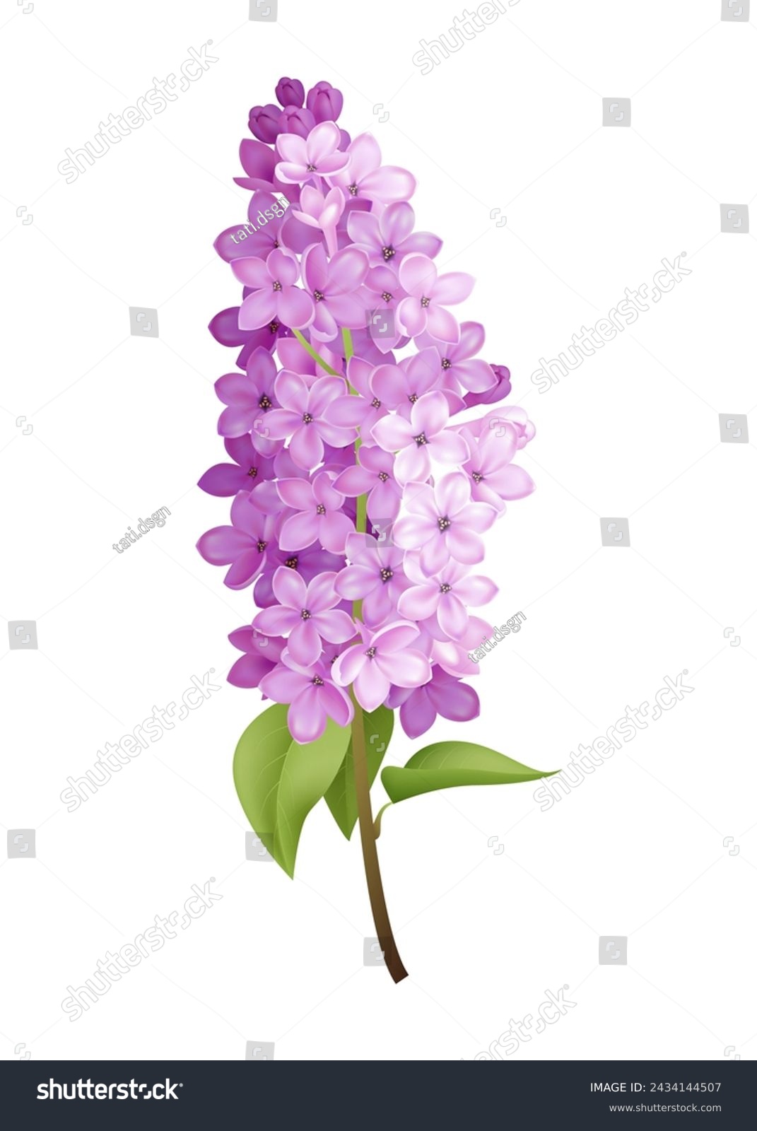 SVG of A beautiful lilac floral branch, perfect for weddings or spring themed designs. The purple blossoms and green leaves create an elegant and romantic botanical motif. Not AI. svg