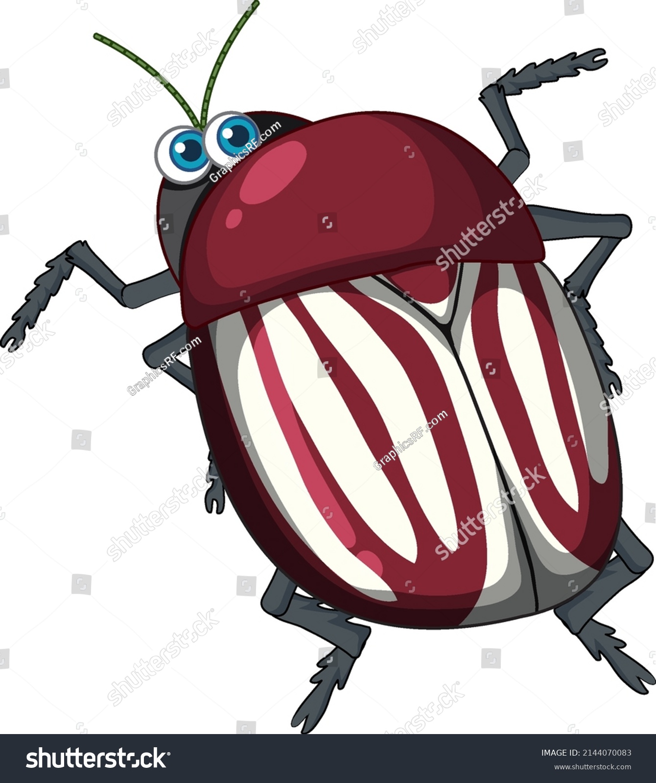 Beetle Cartoon Character Isolated Illustration Stock Vector (Royalty