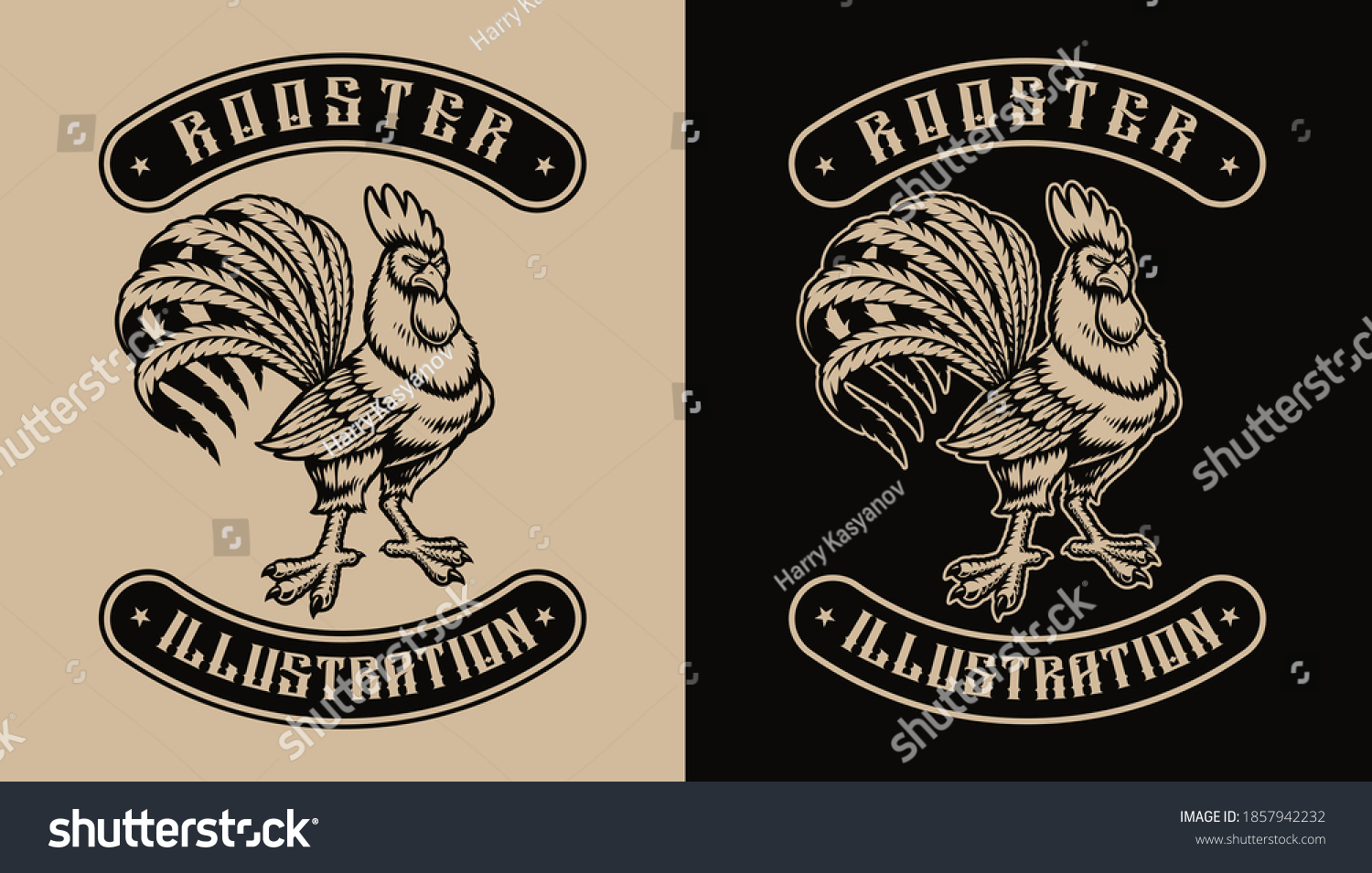 Stock Vector A Black And White Illustration Of A Rooster That Design Can Be Used As Shirt Print As Well As For 1857942232 