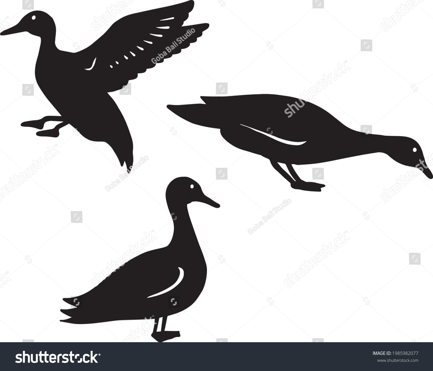 Collection Duck Illustrations Various Positions Stock Vector (Royalty ...