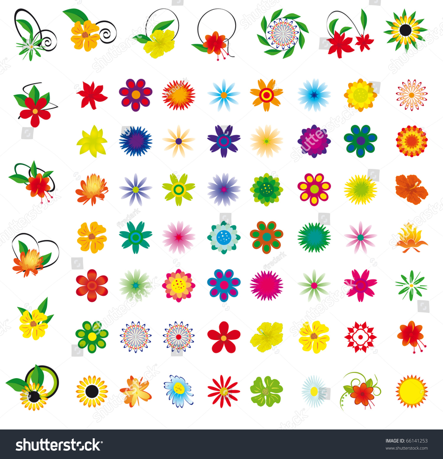 A Collection Of Flowers For The Design. Vector Illustration - 66141253 ...
