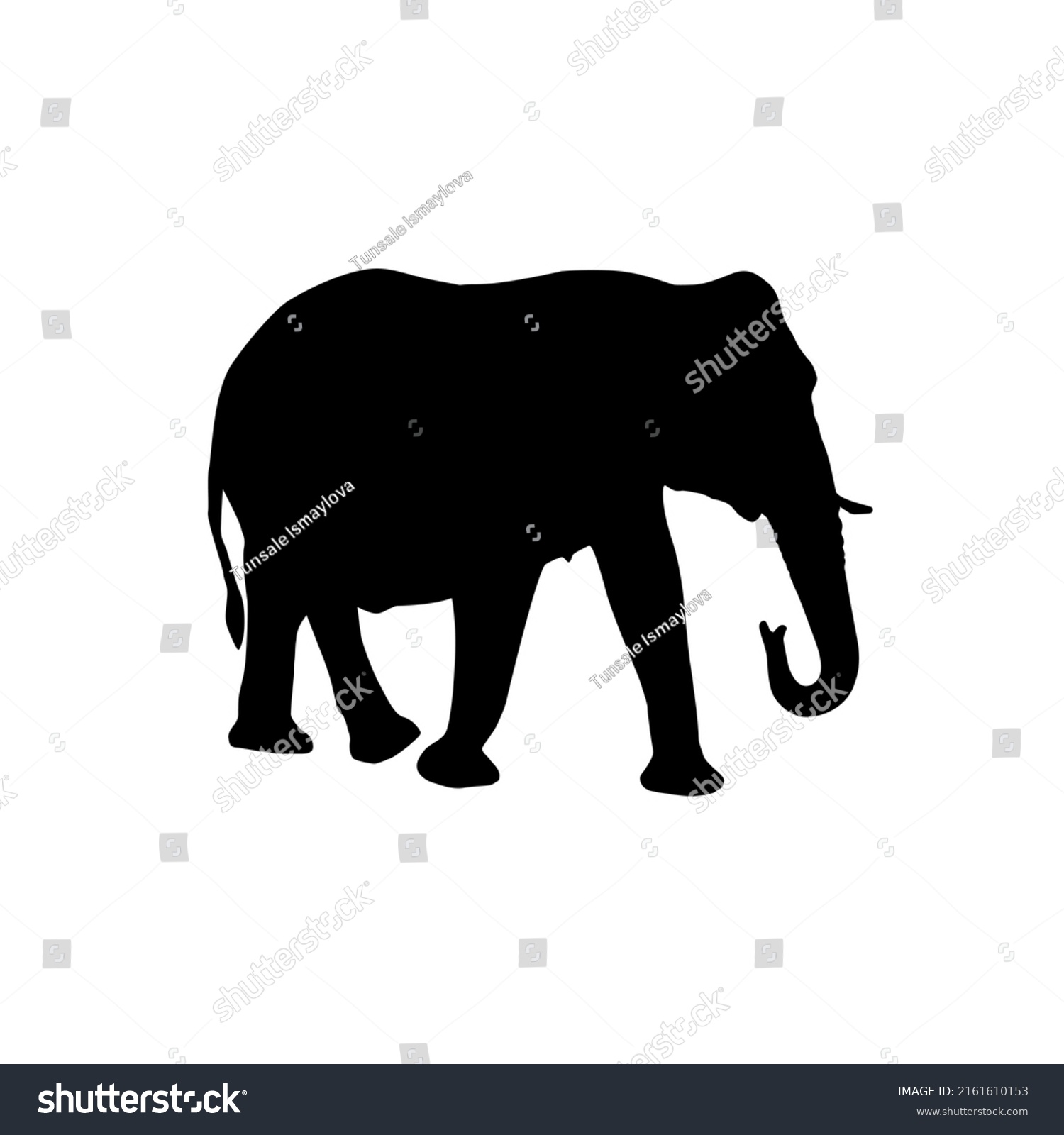 Collection Silhouettes African Animals Giraffe Elephant Stock Vector ...