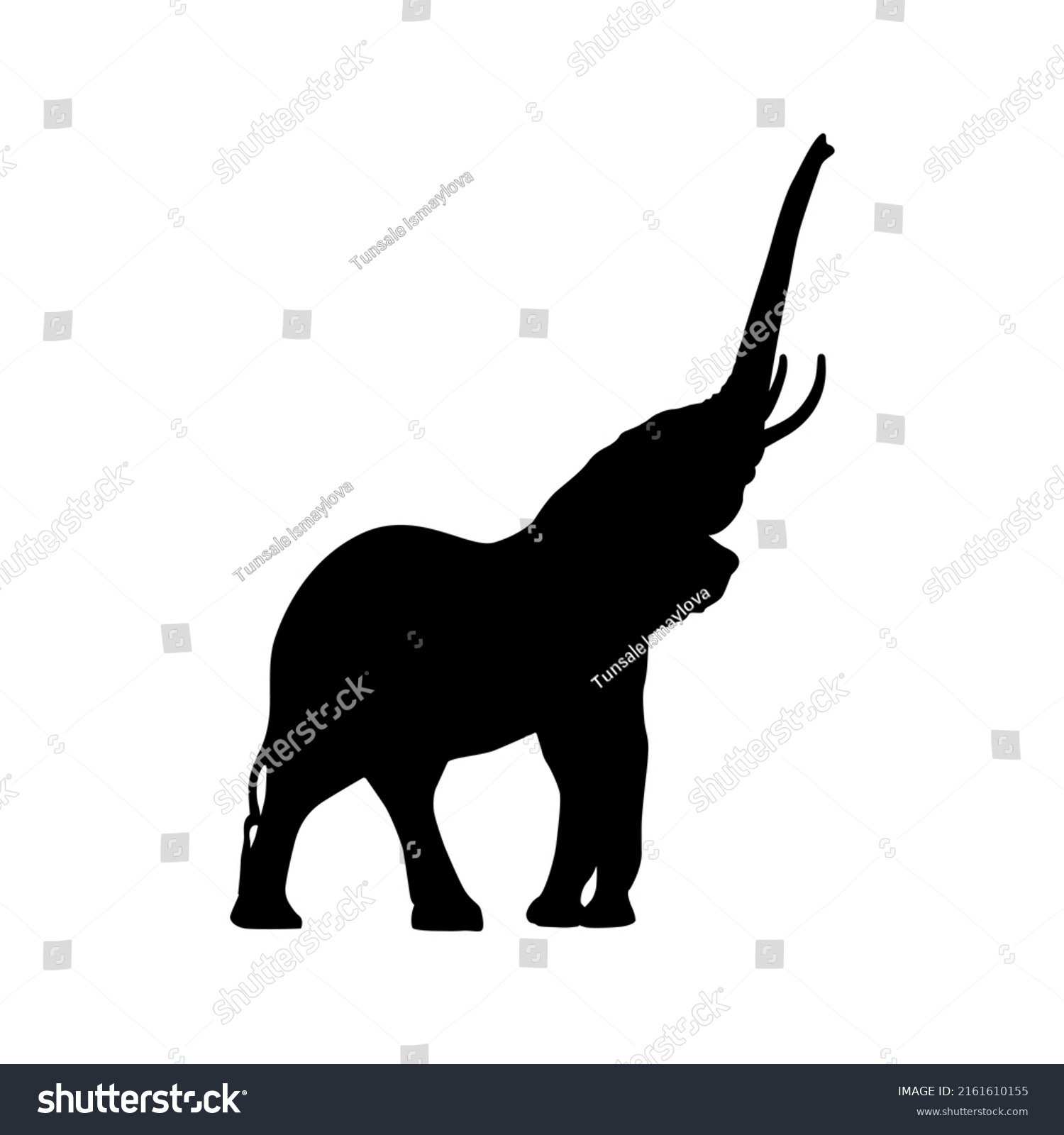 Collection Silhouettes African Animals Giraffe Elephant Stock Vector ...