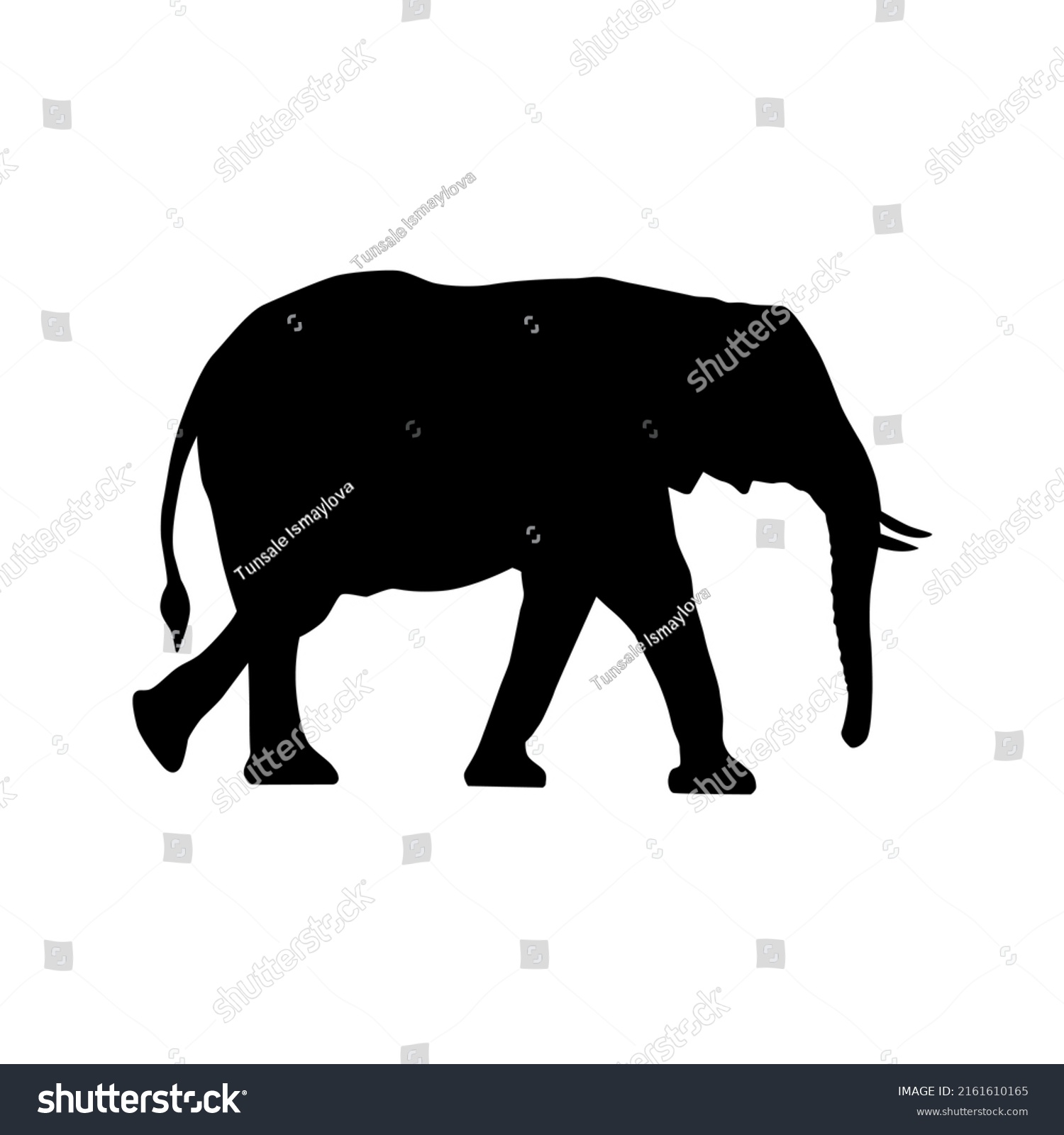 Collection Silhouettes African Animals Giraffe Elephant Stock Vector ...