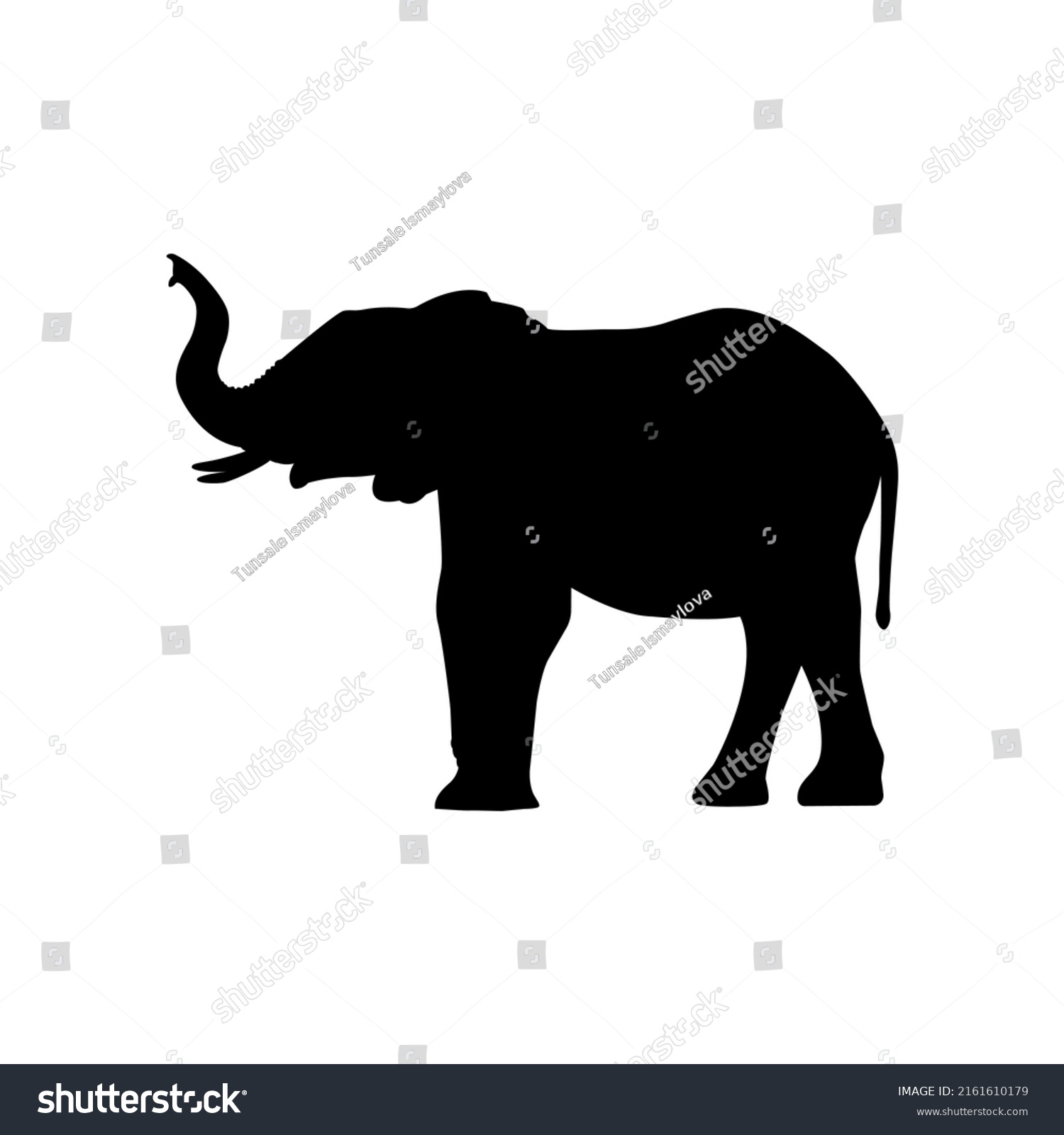 Collection Silhouettes African Animals Giraffe Elephant Stock Vector ...