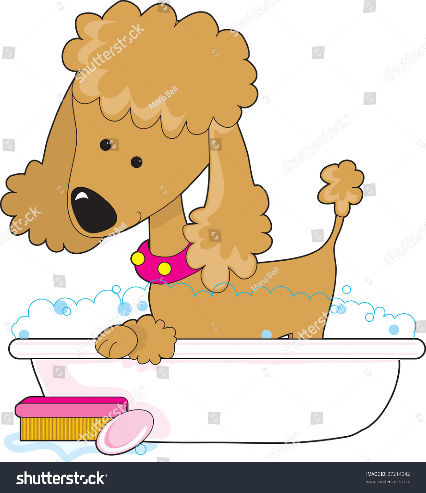 A Cute Apricot Poodle In A Bath Tub Stock Vector Illustration 27214042 ...