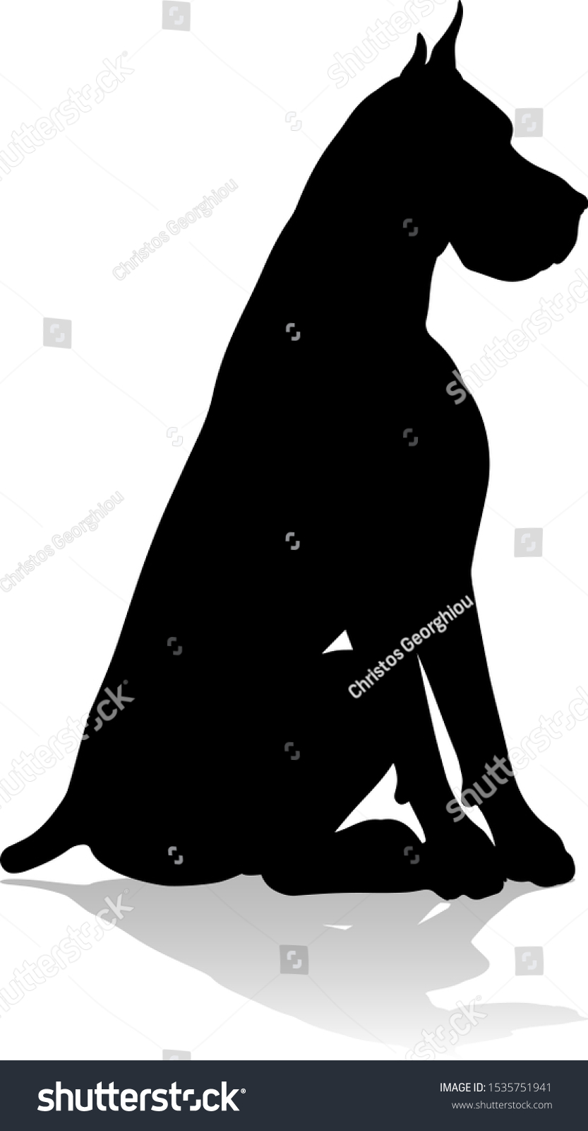 251 Great dane sitting isolated Stock Illustrations, Images & Vectors ...