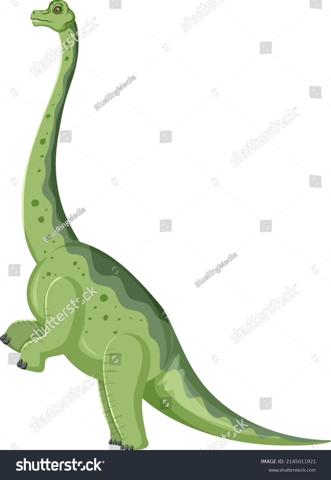 Dinosaur Brachiosaurus On White Background Illustration Stock Vector ...