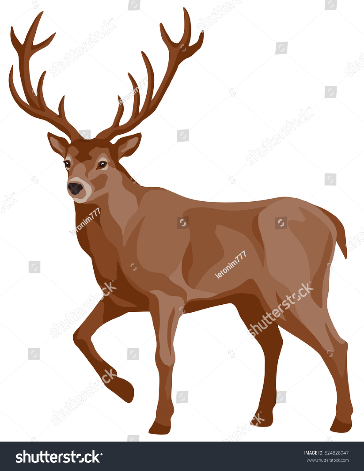 A Graphical Illustration Of Walking Deer Brown With Big Horns ...