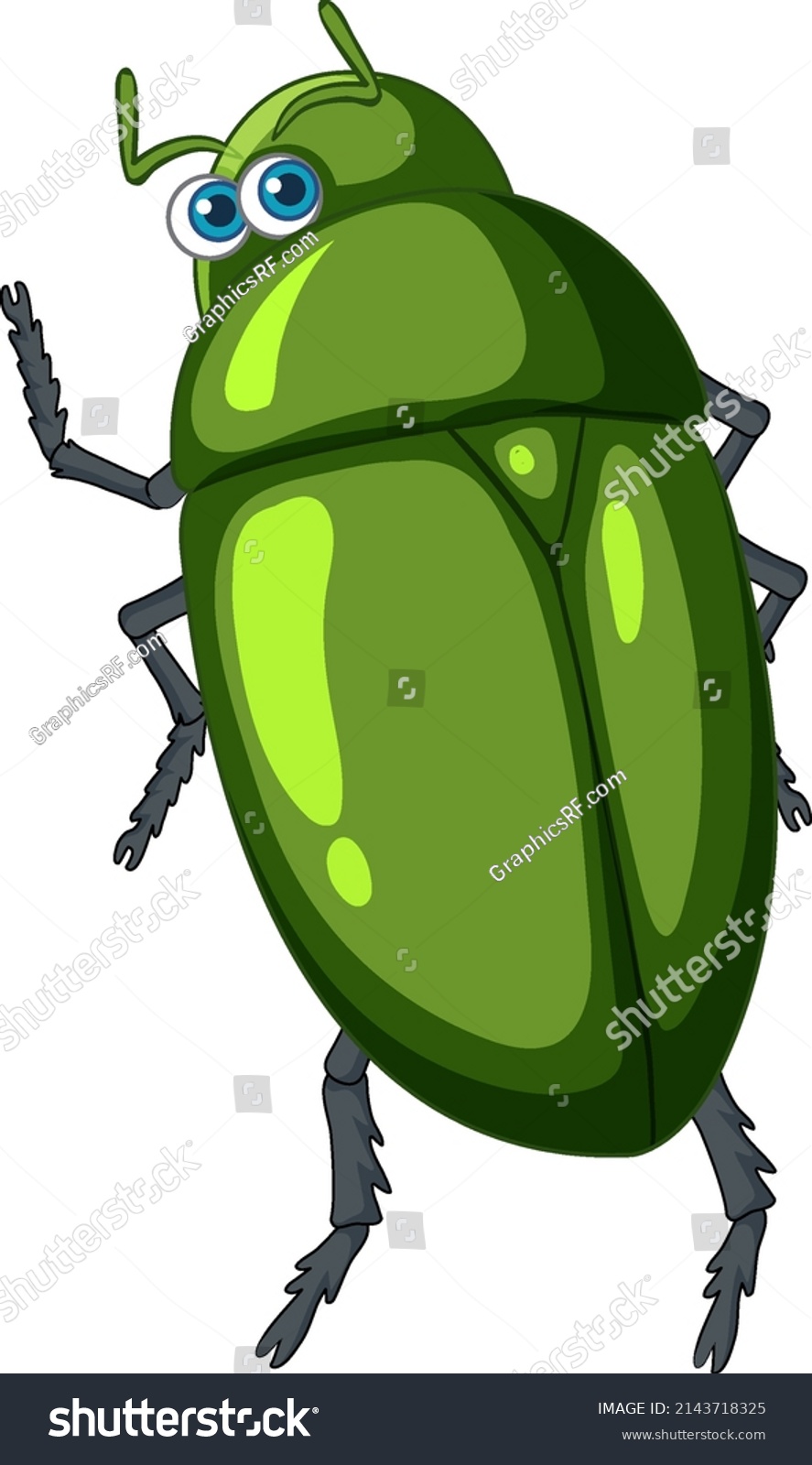 Green Beetle Cartoon Character Isolated Illustration Stock Vector