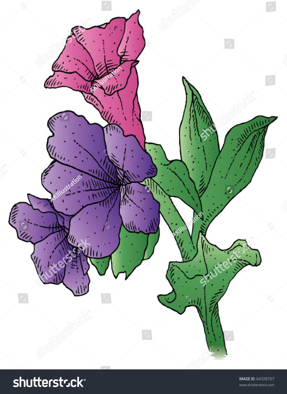 A Hand-Drawn Ink Vector Of A Smoky Blue Lungwort. - 64328707 : Shutterstock
