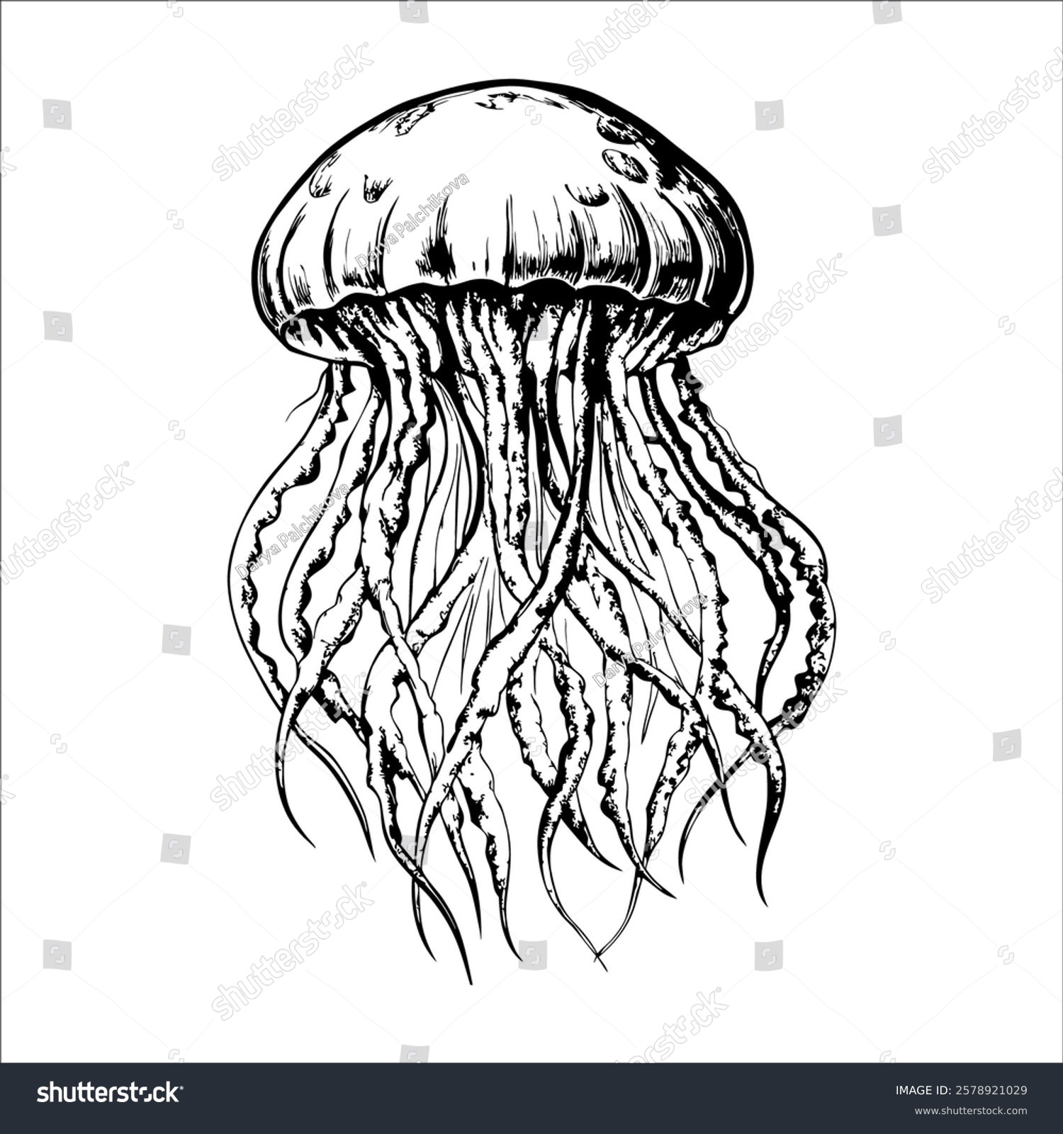 black and white jellyfish drawing clip art preview