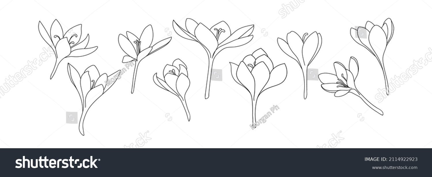 Saffron collection Images, Stock Photos & Vectors | Shutterstock