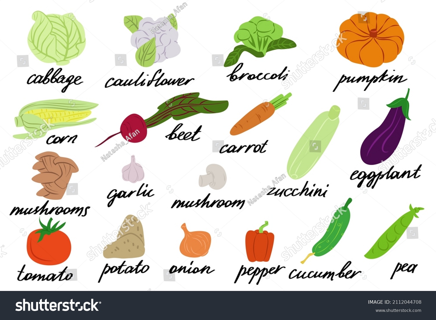 Large Set Vegetables Vector Illustration Vegetables Stock Vector ...