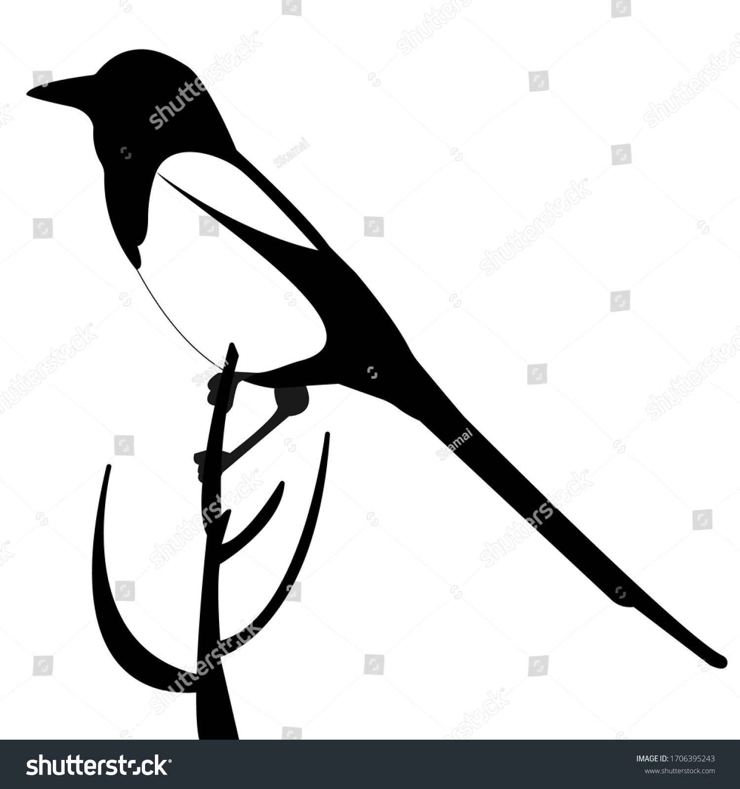 Magpie Bird Sits On Branch Top Stock Vector Royalty Free 1706395243