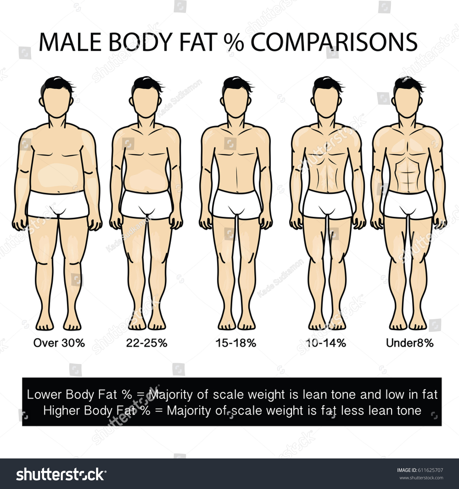 752-im-genes-de-body-fat-percentage-im-genes-fotos-y-vectores-de