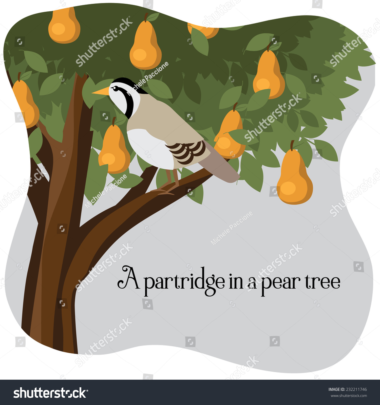 A Partridge In A Pear Tree Eps 10 Vector Illustration - 232211746 ...
