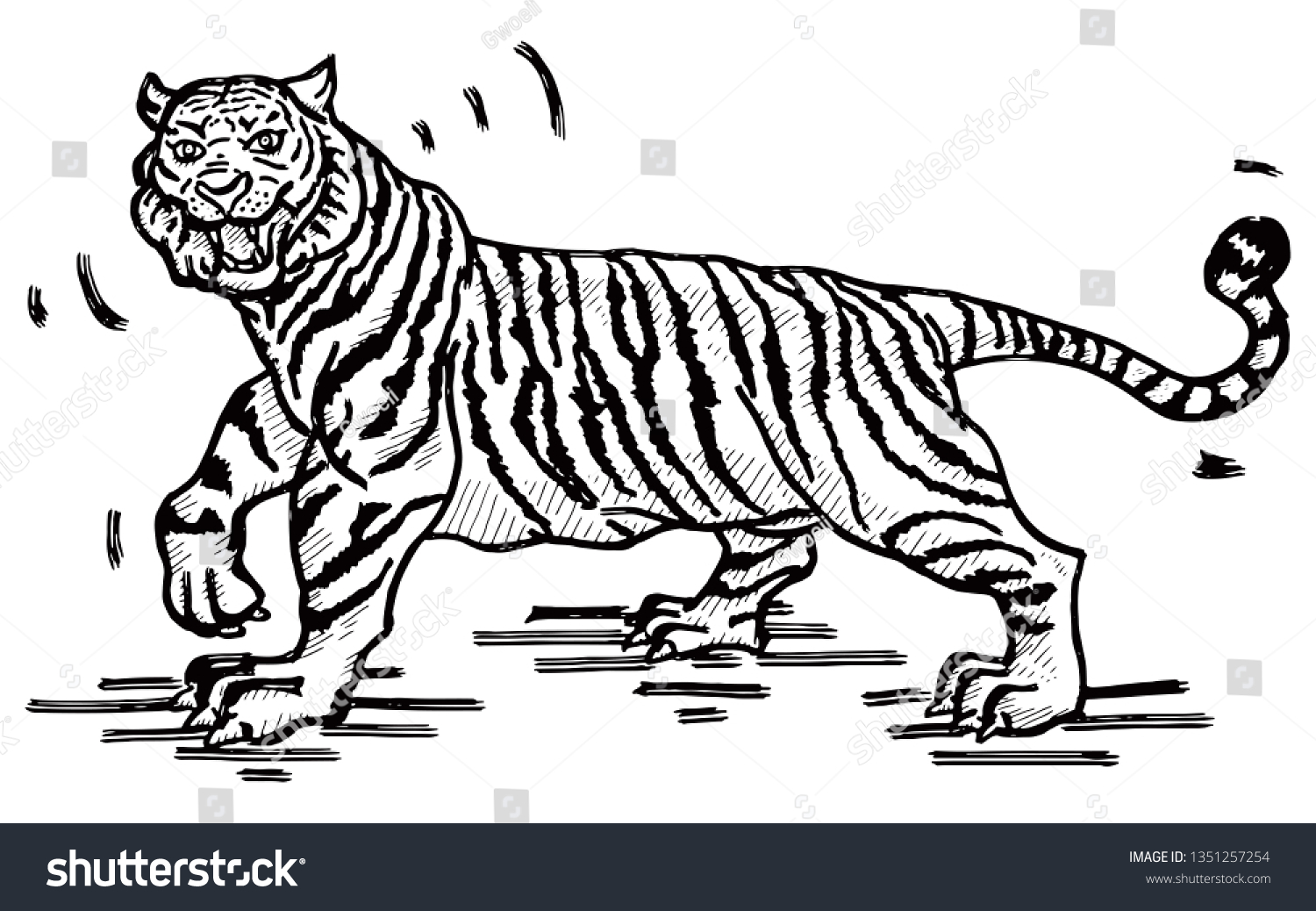 Roaring Tiger Hand Drawn Vector Illustration Stock Vector (Royalty Free ...