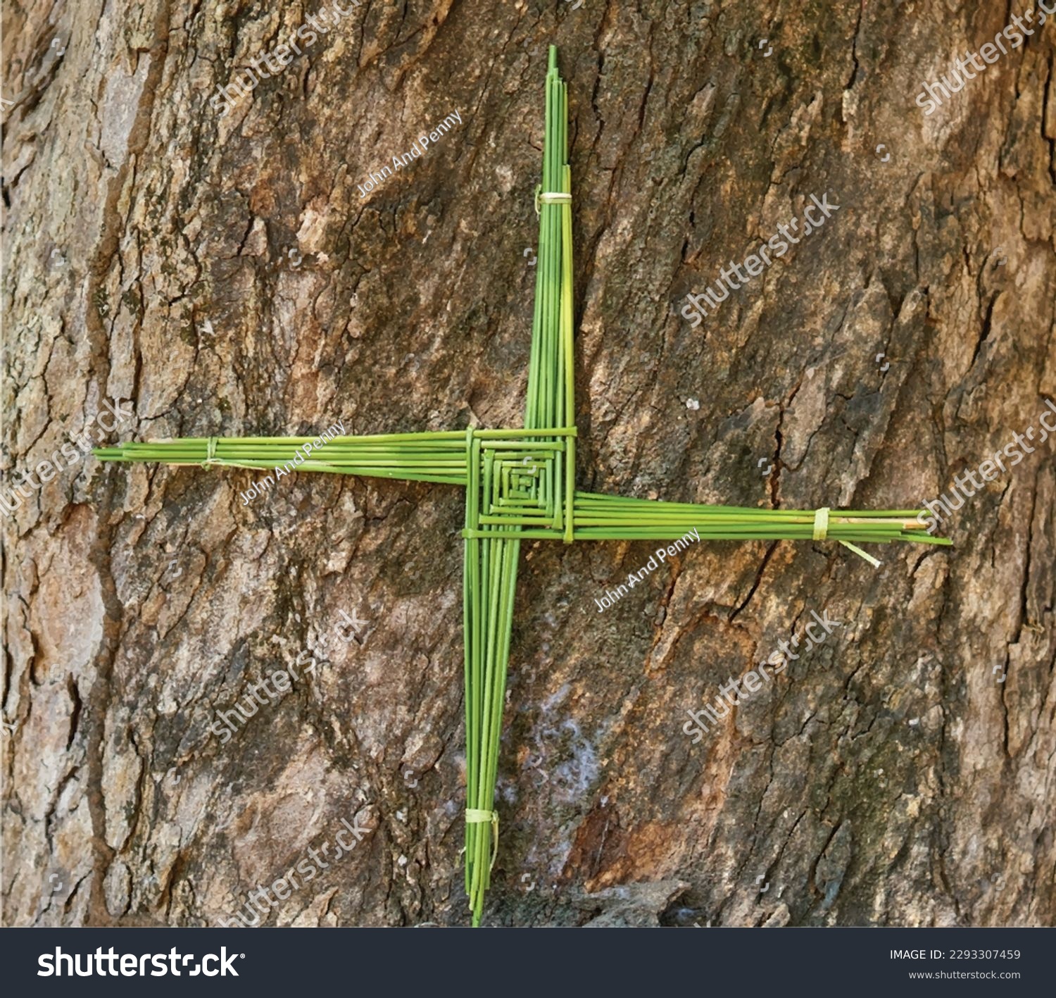 SVG of A Saint Brigid's cross made from green rushes, in vector format. svg