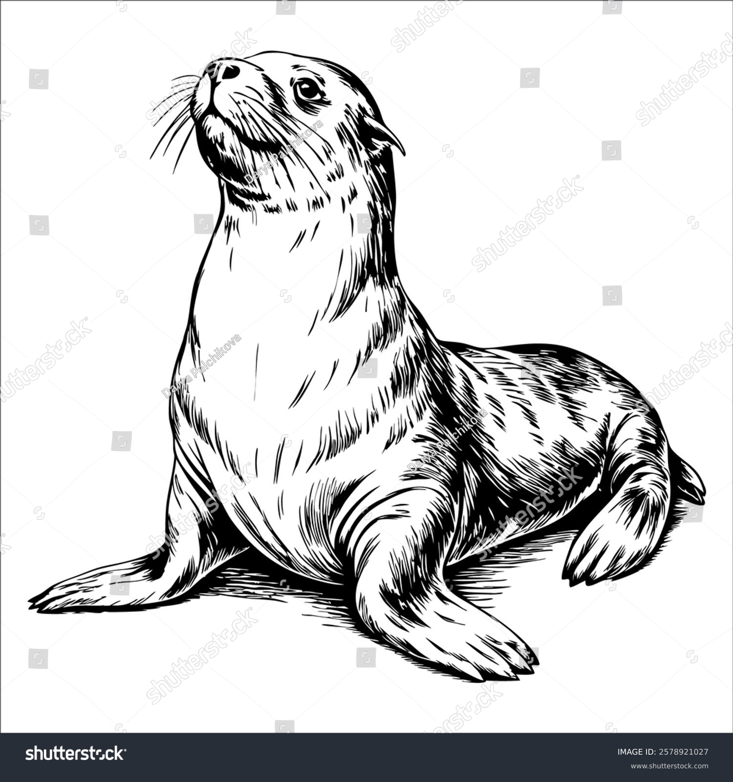 Seal clip art preview