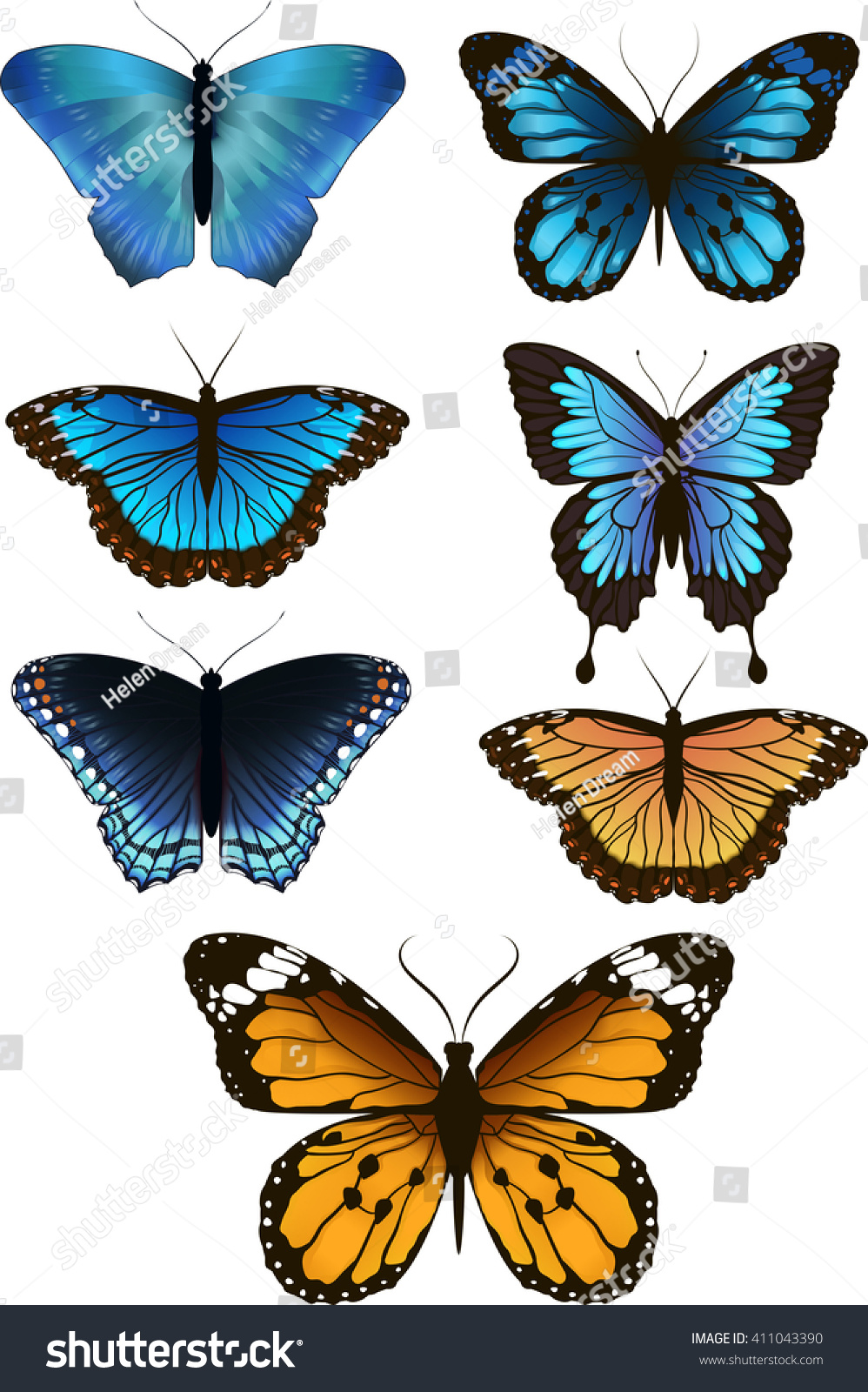 Set Beautiful Butterflies Vector Stock Vector 411043390 - Shutterstock