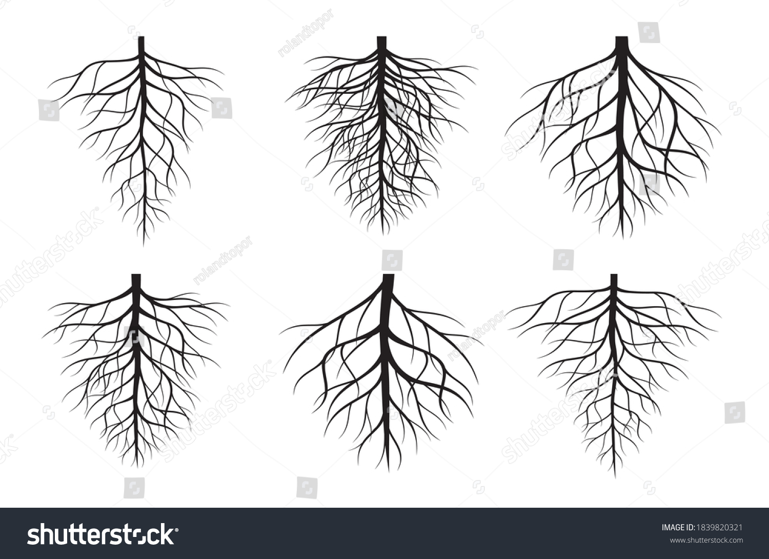 Set Black Tree Roots Vector Outline Stock Vector Royalty Free 1839820321 Shutterstock 9991