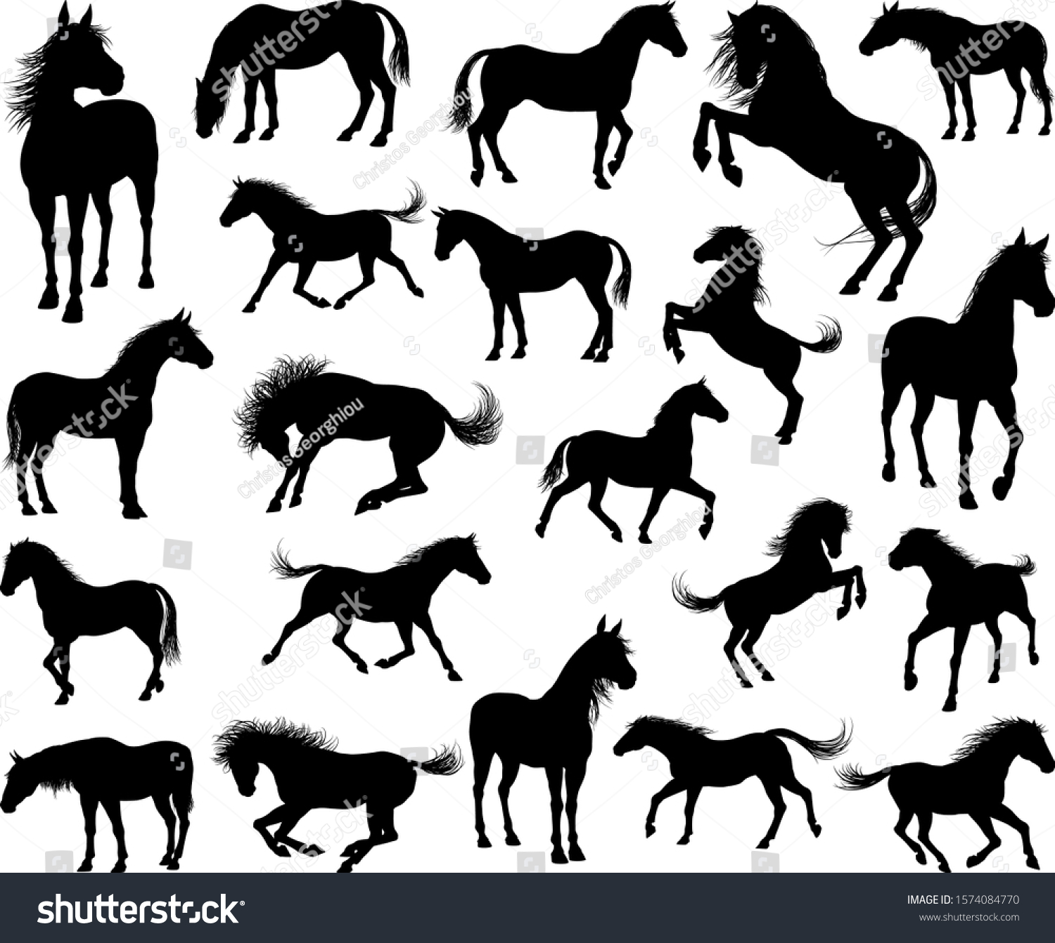 Set High Quality Very Detailed Horses Stock Vector (Royalty Free ...