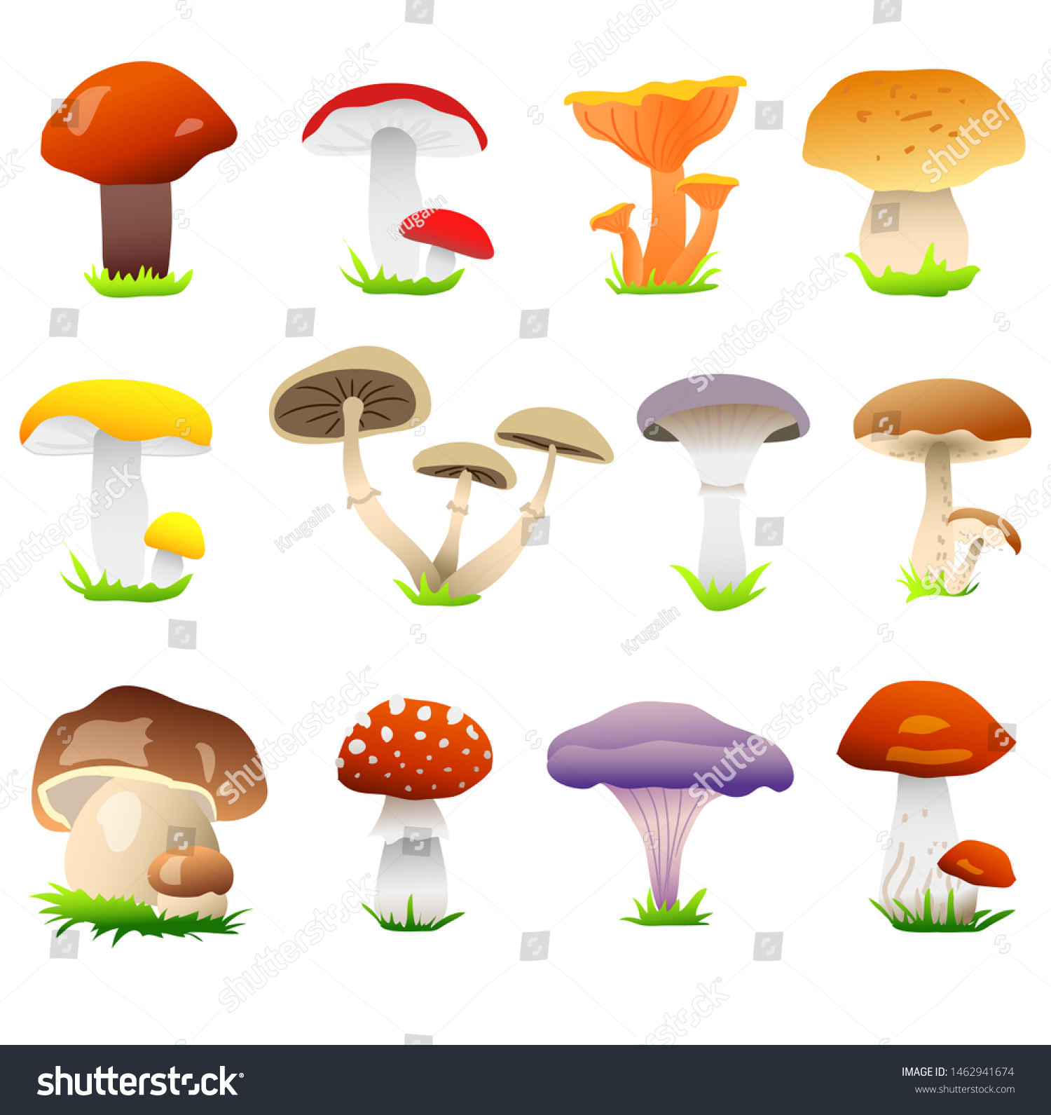 Set Mushrooms Edible Inedible Mushrooms Autumn Stock Vector Royalty Free