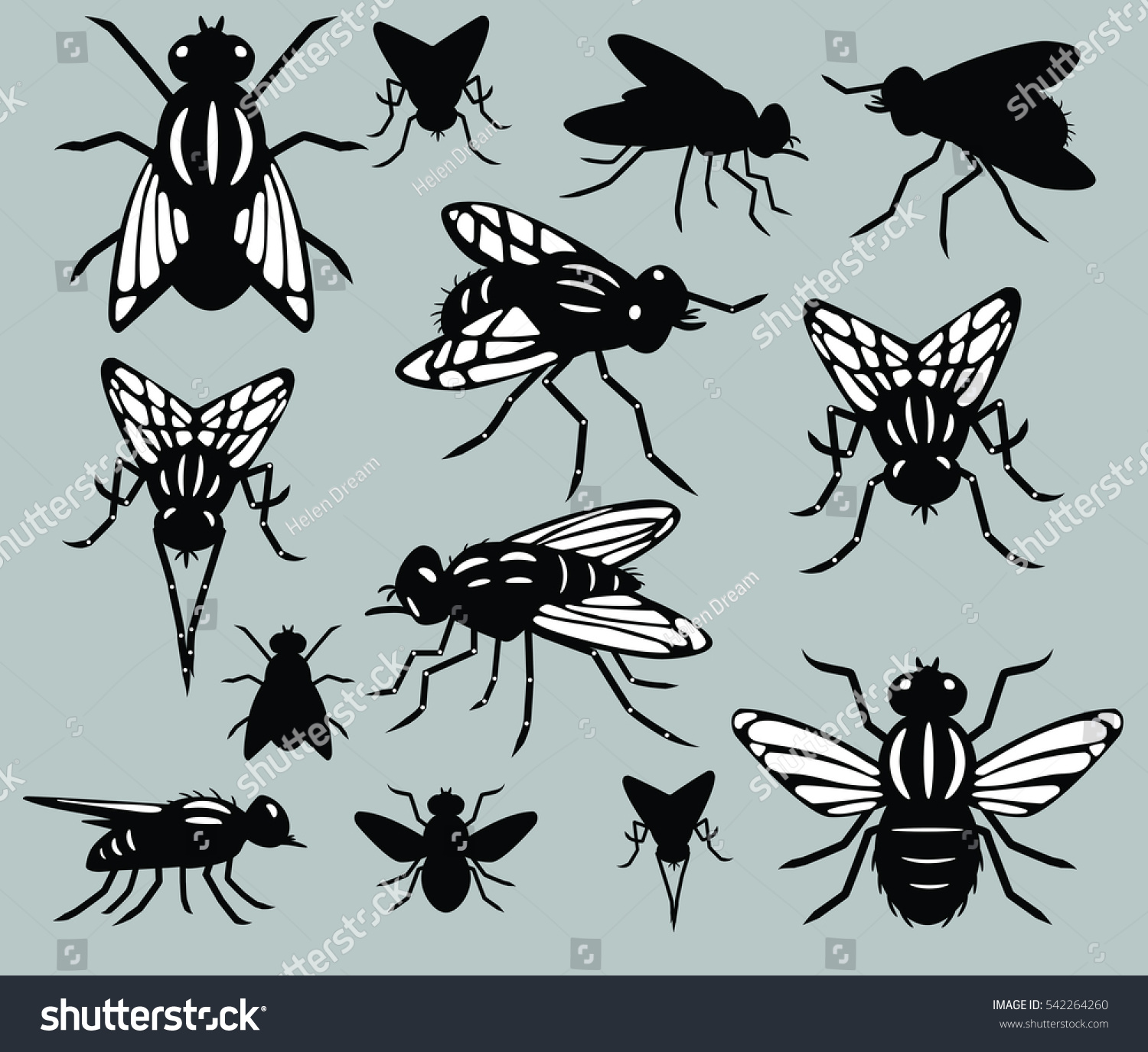 19,369 Insect profile Images, Stock Photos & Vectors | Shutterstock