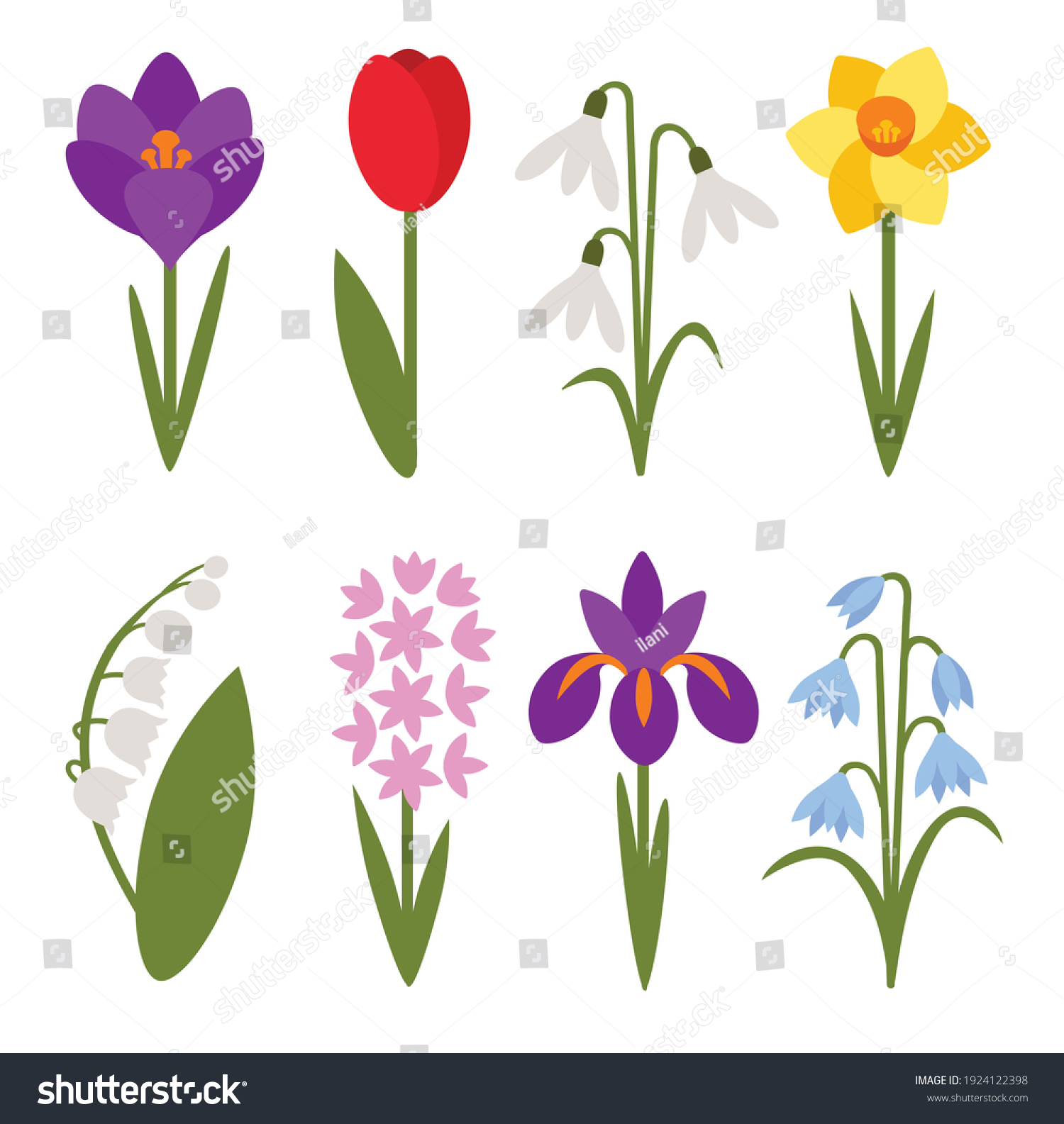 SVG of A set of simple icons of spring flowers: crocus, tulip, snowdrop, lily of the valley, daffodil, iris, cockerel, hyacinth svg