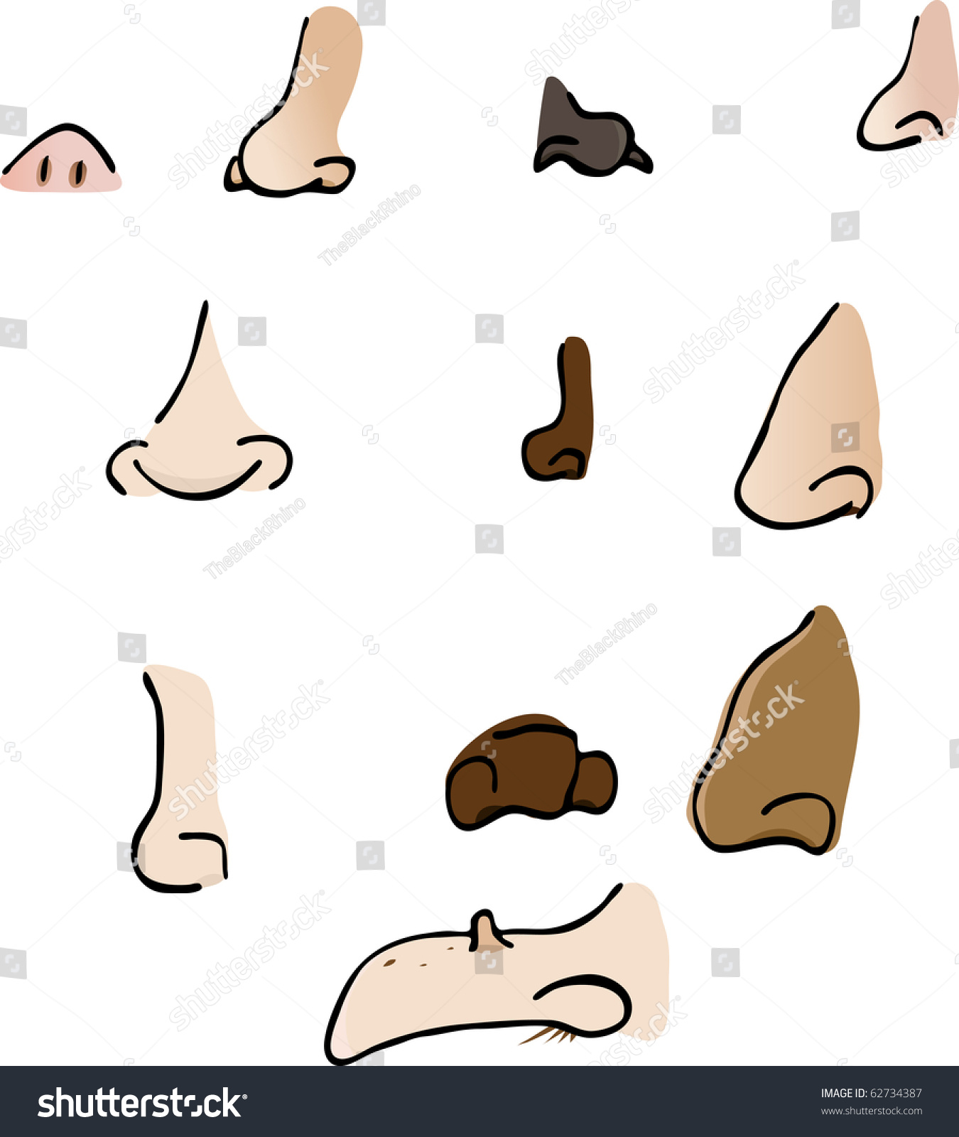 Set 11 Various Human Nose Body Stock Vector 62734387 - Shutterstock